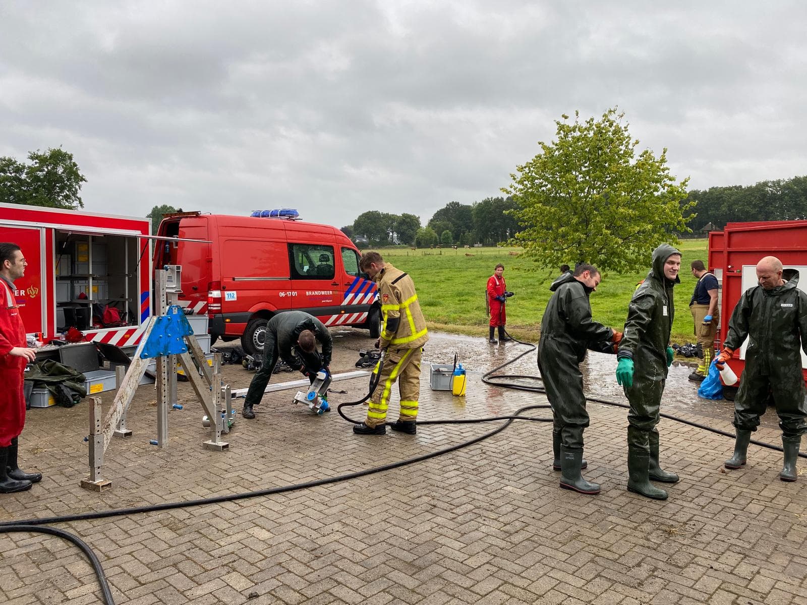 P2 Dier in put/kelder Veenkamp📷