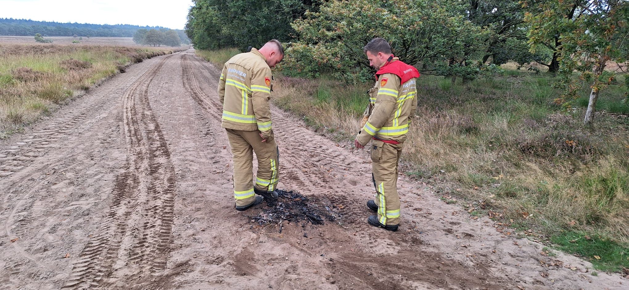 P1 Brand berm/bosschage N302 Flevoweg 116.5 Ermelo 📷