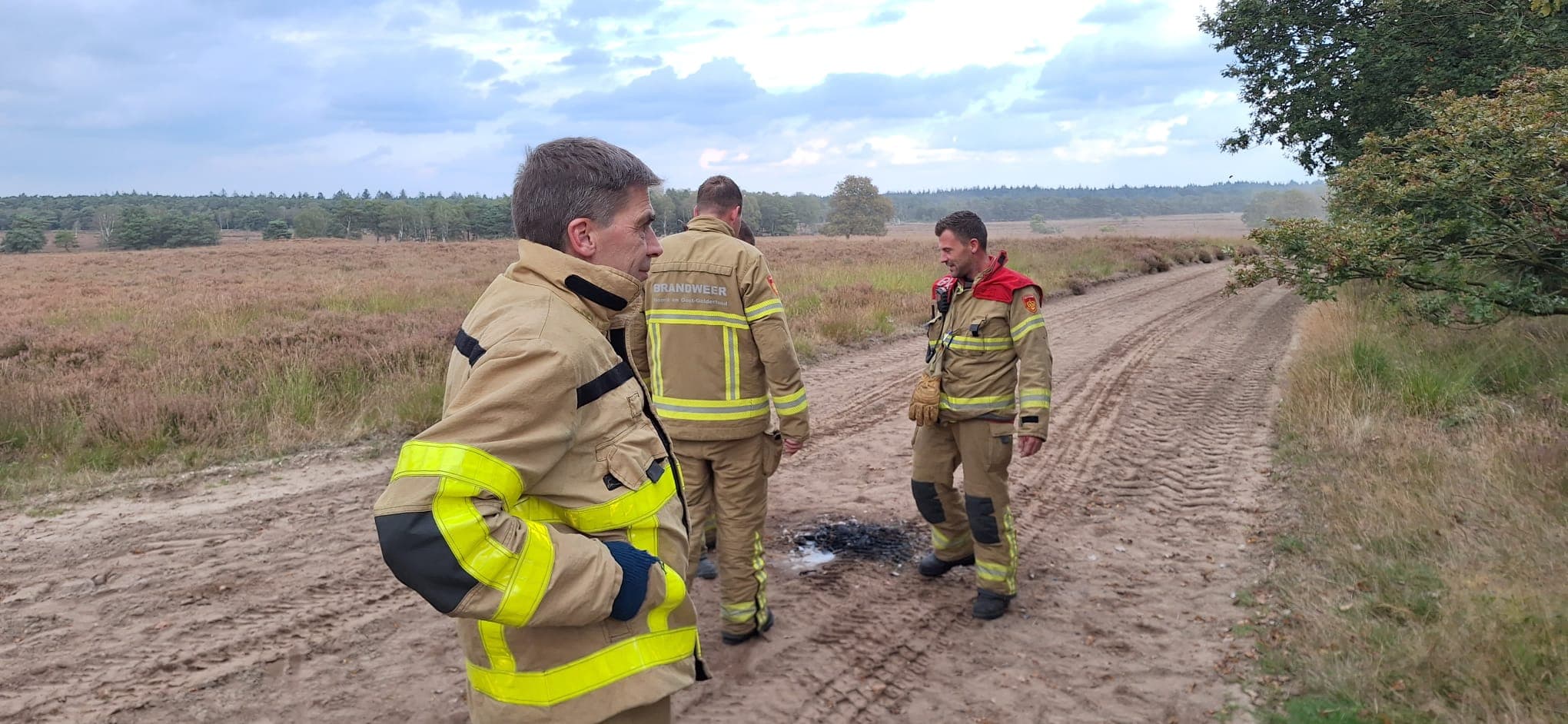 P1 Brand berm/bosschage N302 Flevoweg 116.5 Ermelo 📷