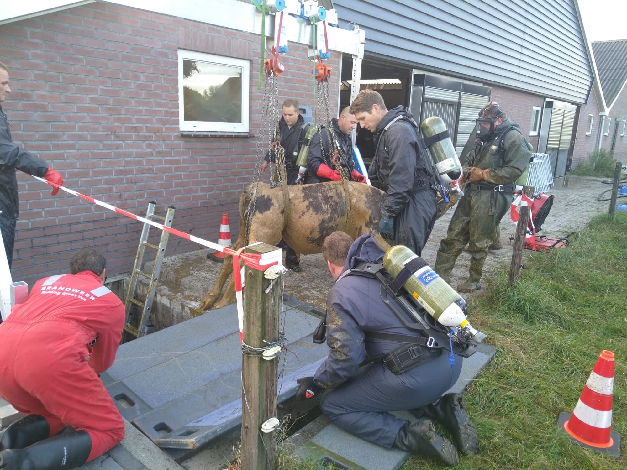 P2 Dier in put/kelder Markveldweg Uddel 📷