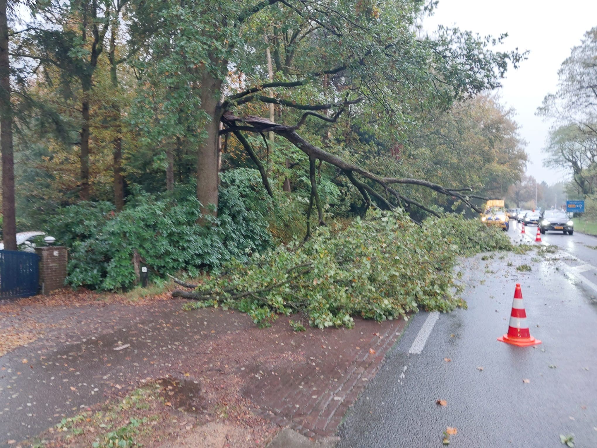 P2 Stormschade N302 – Meervelderweg Uddel 📷
