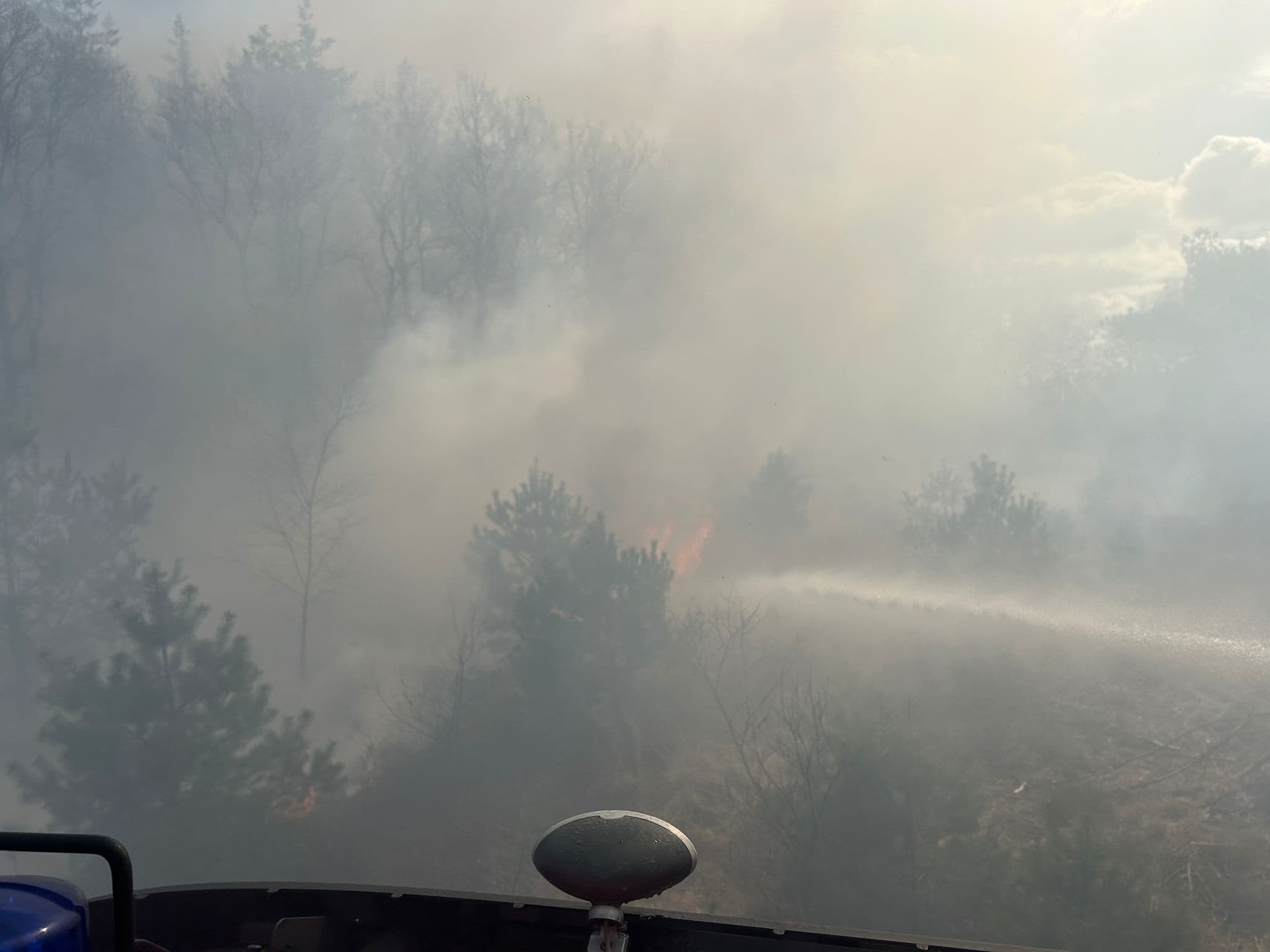 P1 brand heide (uitbr.:normaal) Bosrand Elspeet