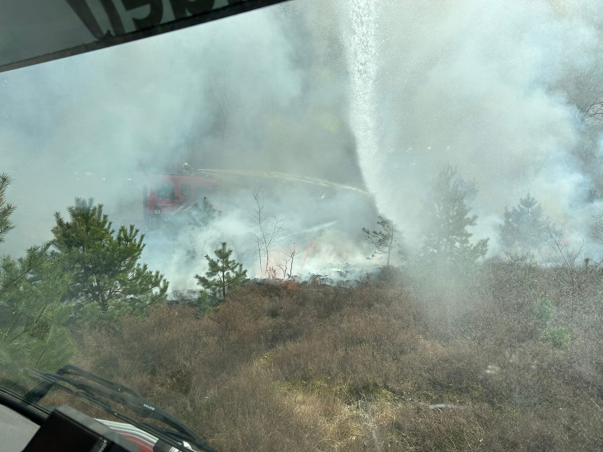 P1 brand heide (uitbr.:normaal) Bosrand Elspeet