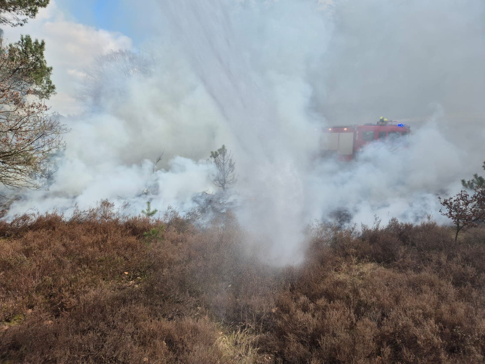 P1 brand heide (uitbr.:normaal) Bosrand Elspeet