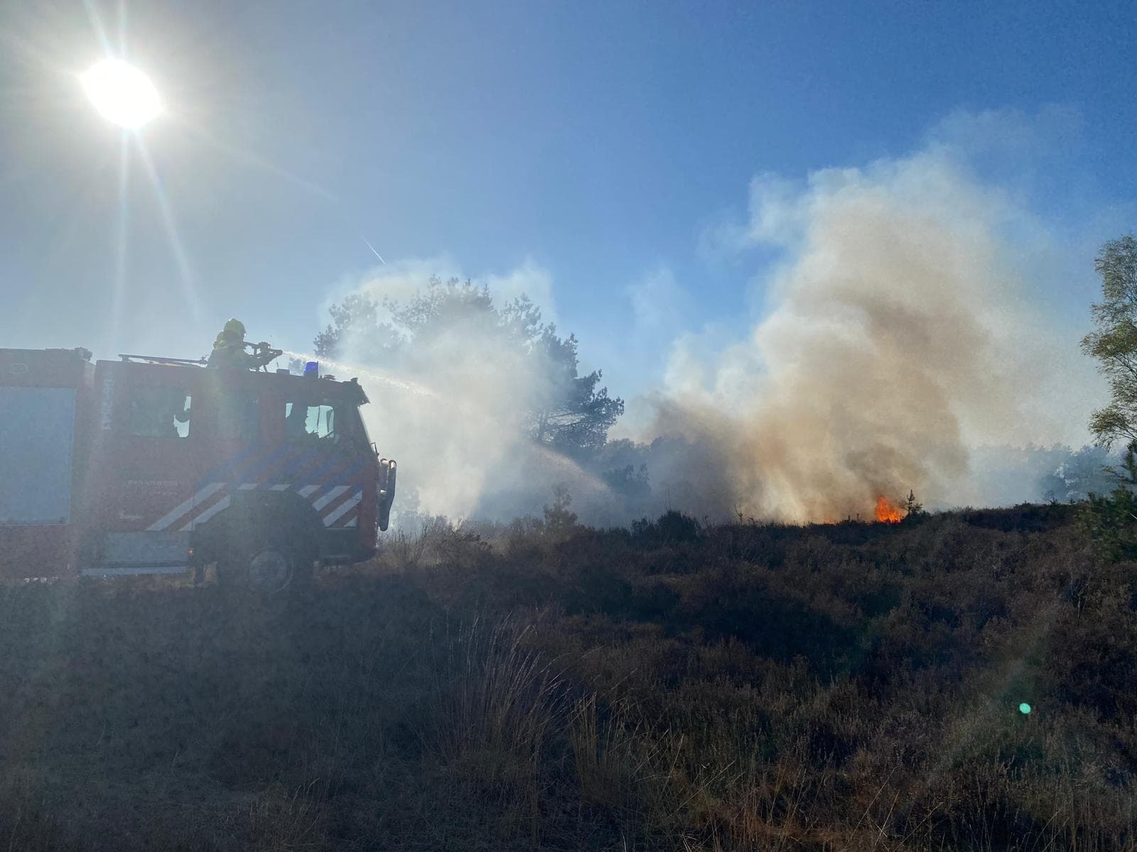 P1 Brand heide (uitbr.: hoog) N310 Uddelerweg 86.0 Elspeet