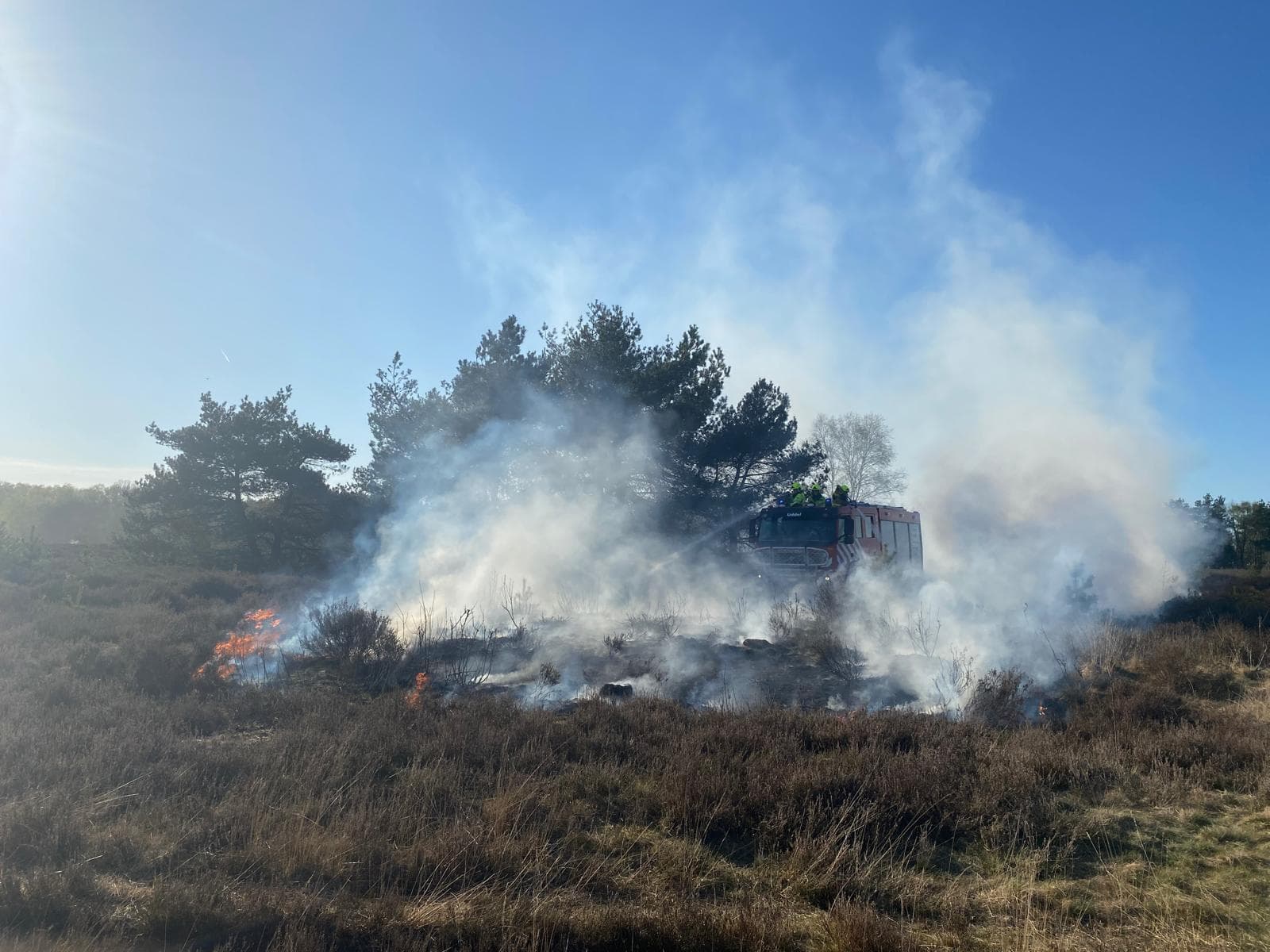 P1 Brand heide (uitbr.: hoog) N310 Uddelerweg 86.0 Elspeet