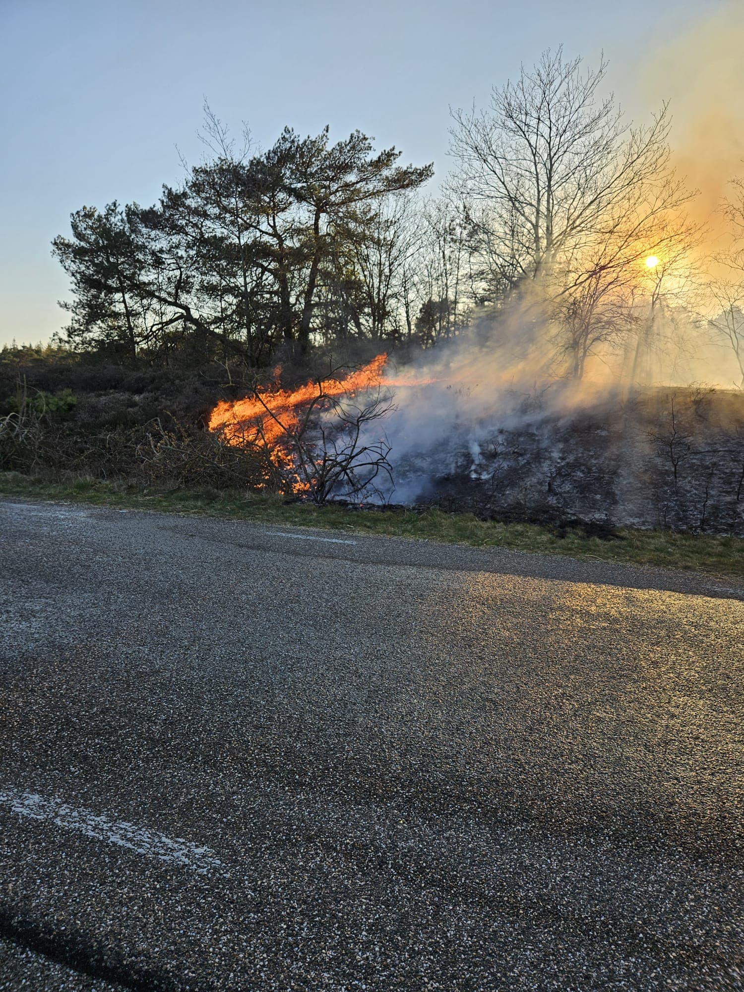 P1 Brand heide (uitbr.: hoog) Hooiweg Elspeet