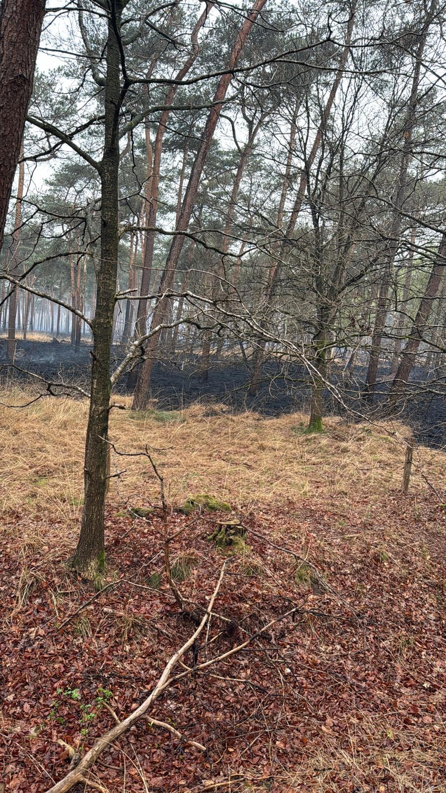P1 (pel. NBB 1) Bijstand UGS 06-52 Kazerne Ermelo Oude Telgterweg Ermelo | Brand Drunen