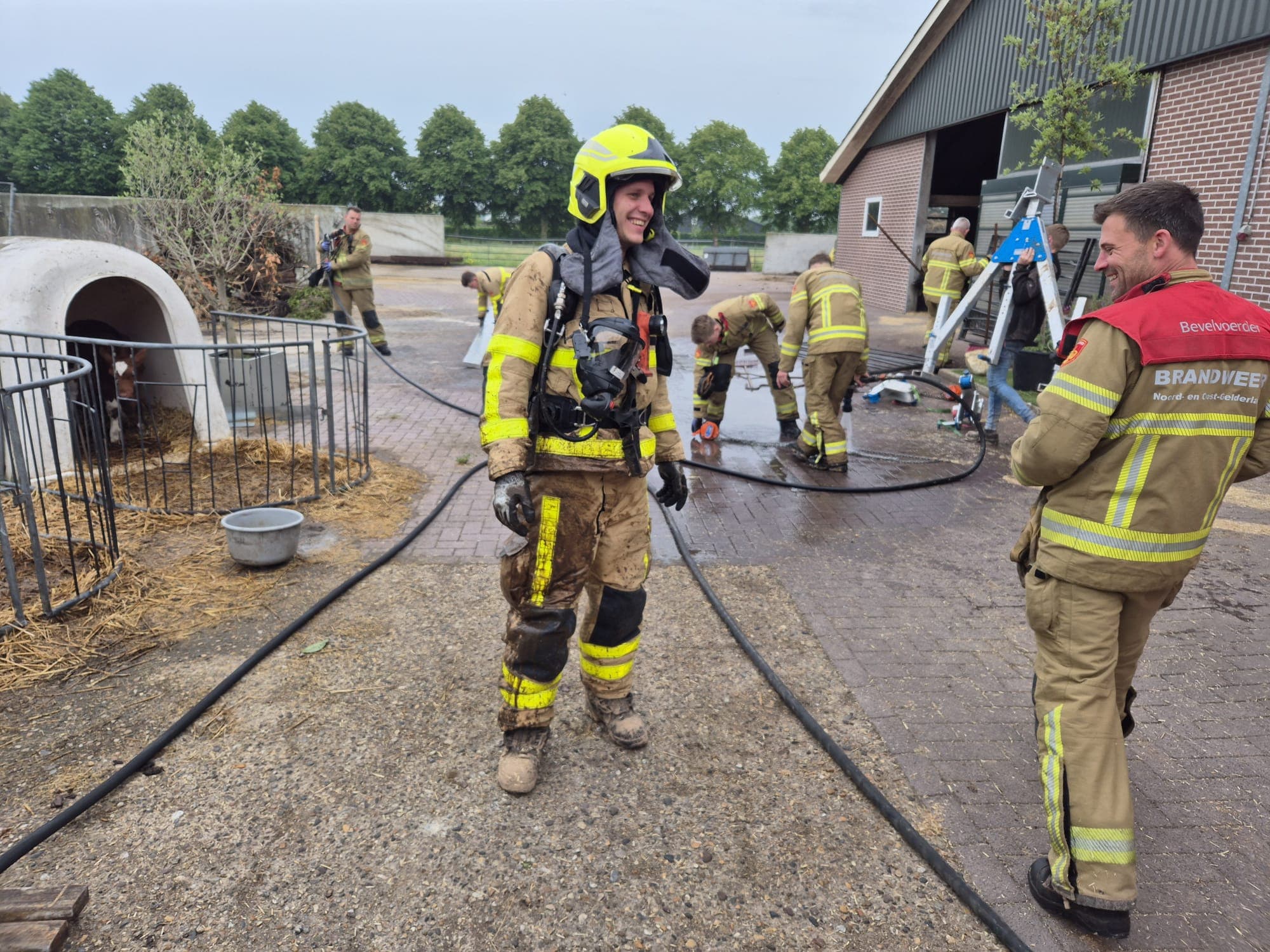 P2 Dier in put/kelder Veenkamp Uddel