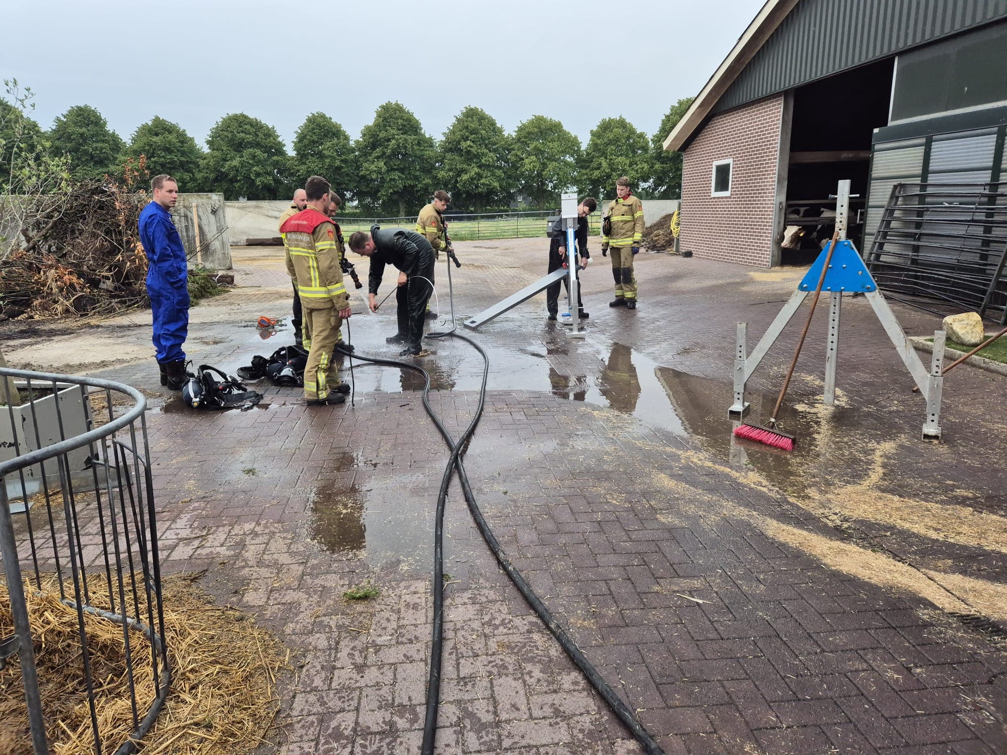 P2 Dier in put/kelder Veenkamp Uddel