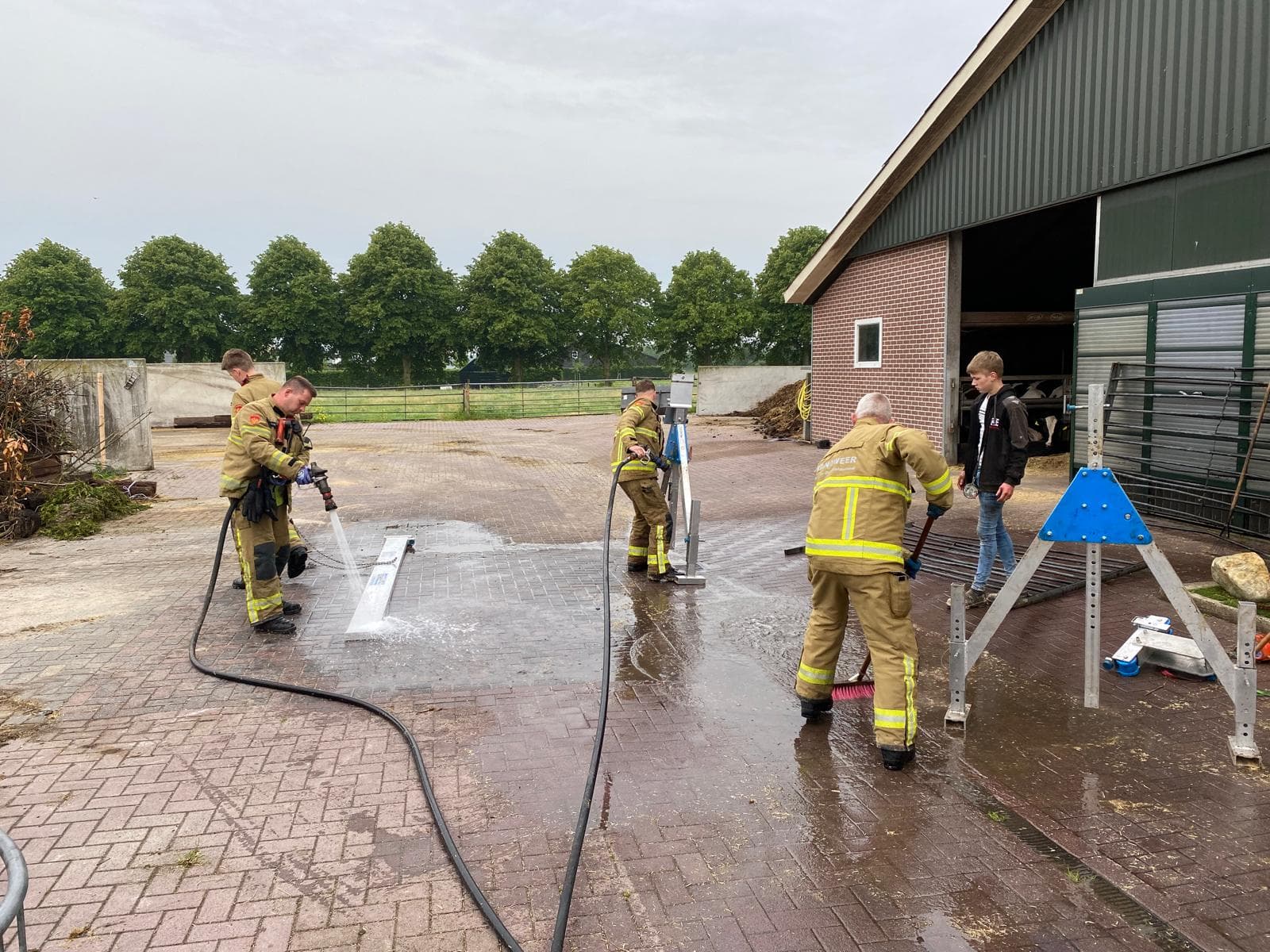 P2 Dier in put/kelder Veenkamp Uddel
