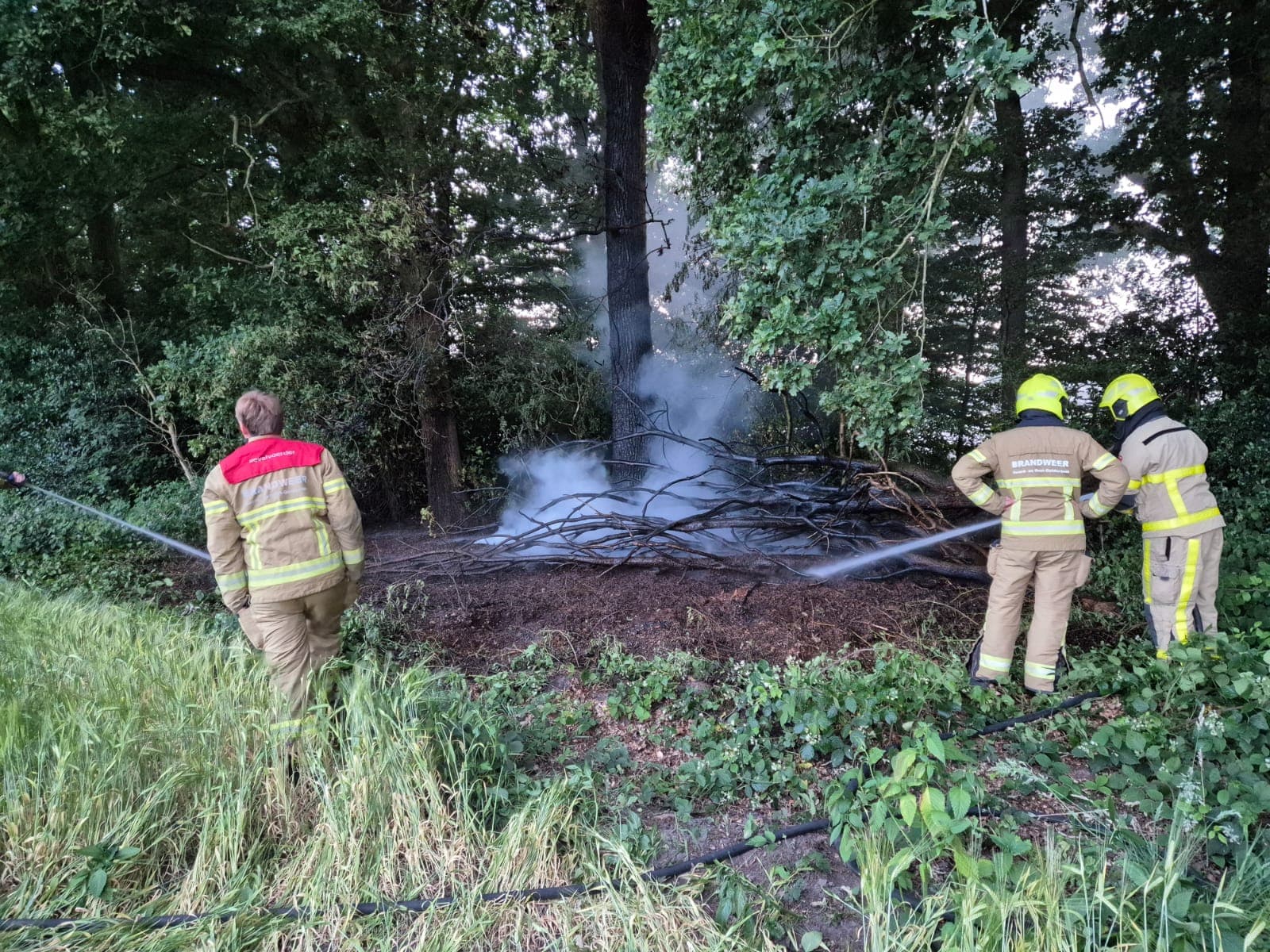 P1 Brand bos (uitbr.: hoog) ’t Hof Uddel
