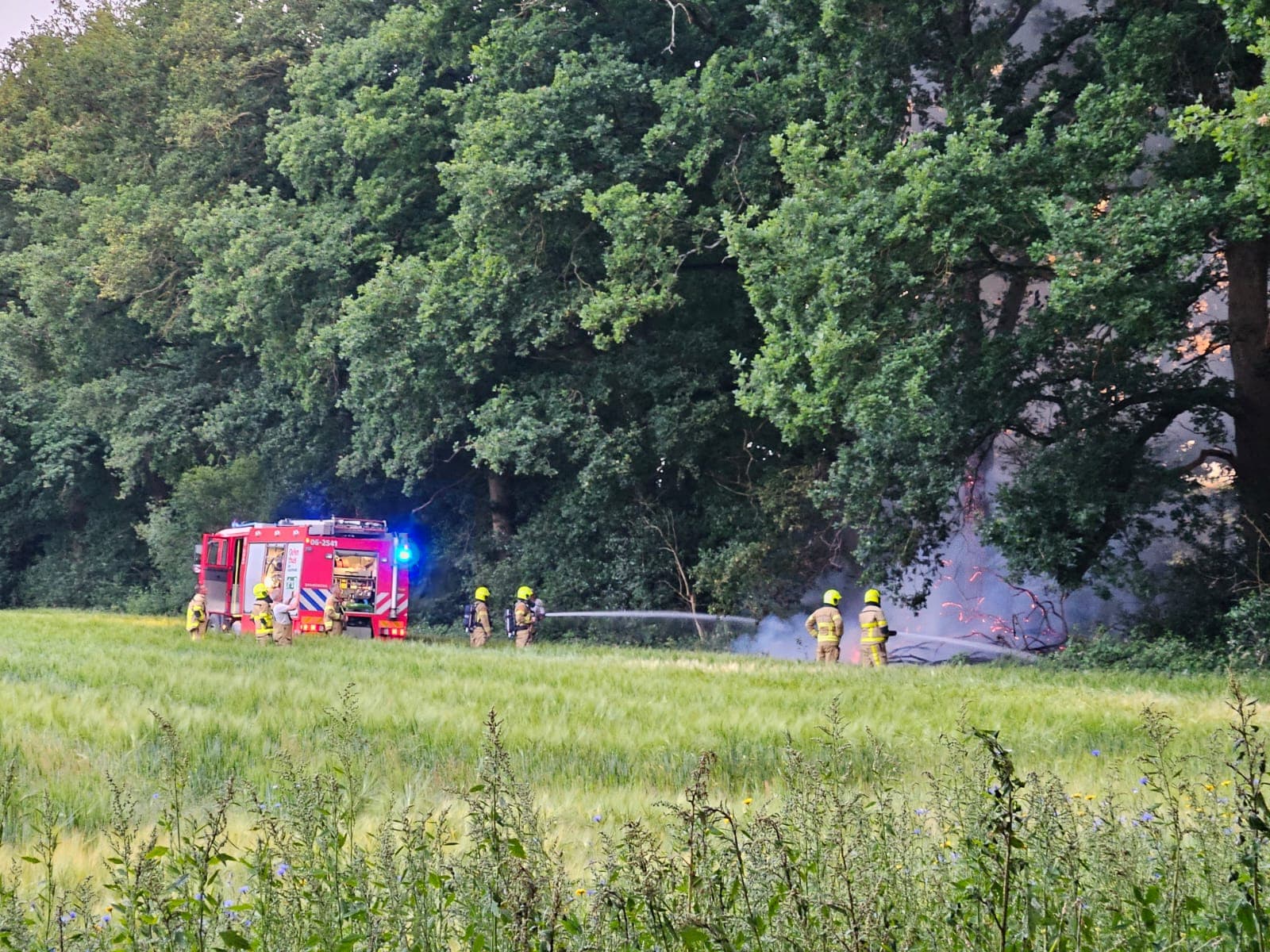 P1 Brand bos (uitbr.: hoog) ’t Hof Uddel