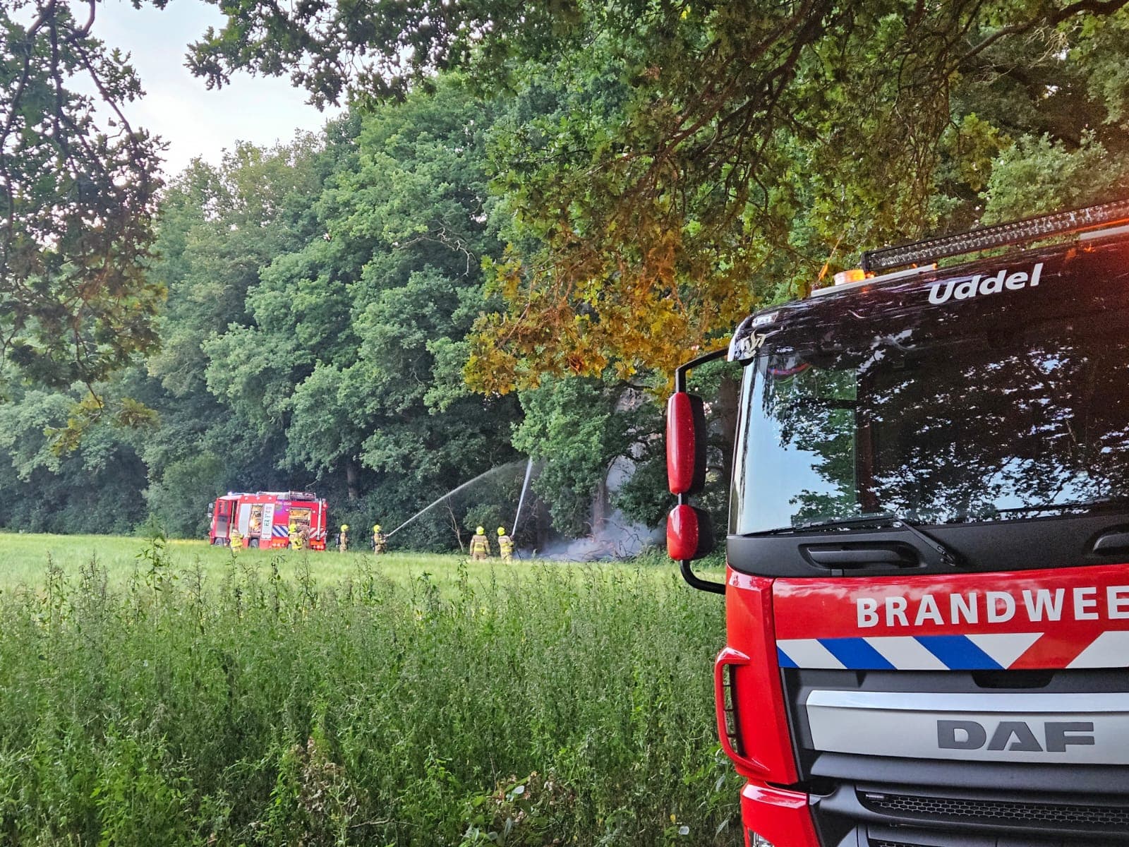P1 Brand bos (uitbr.: hoog) ’t Hof Uddel