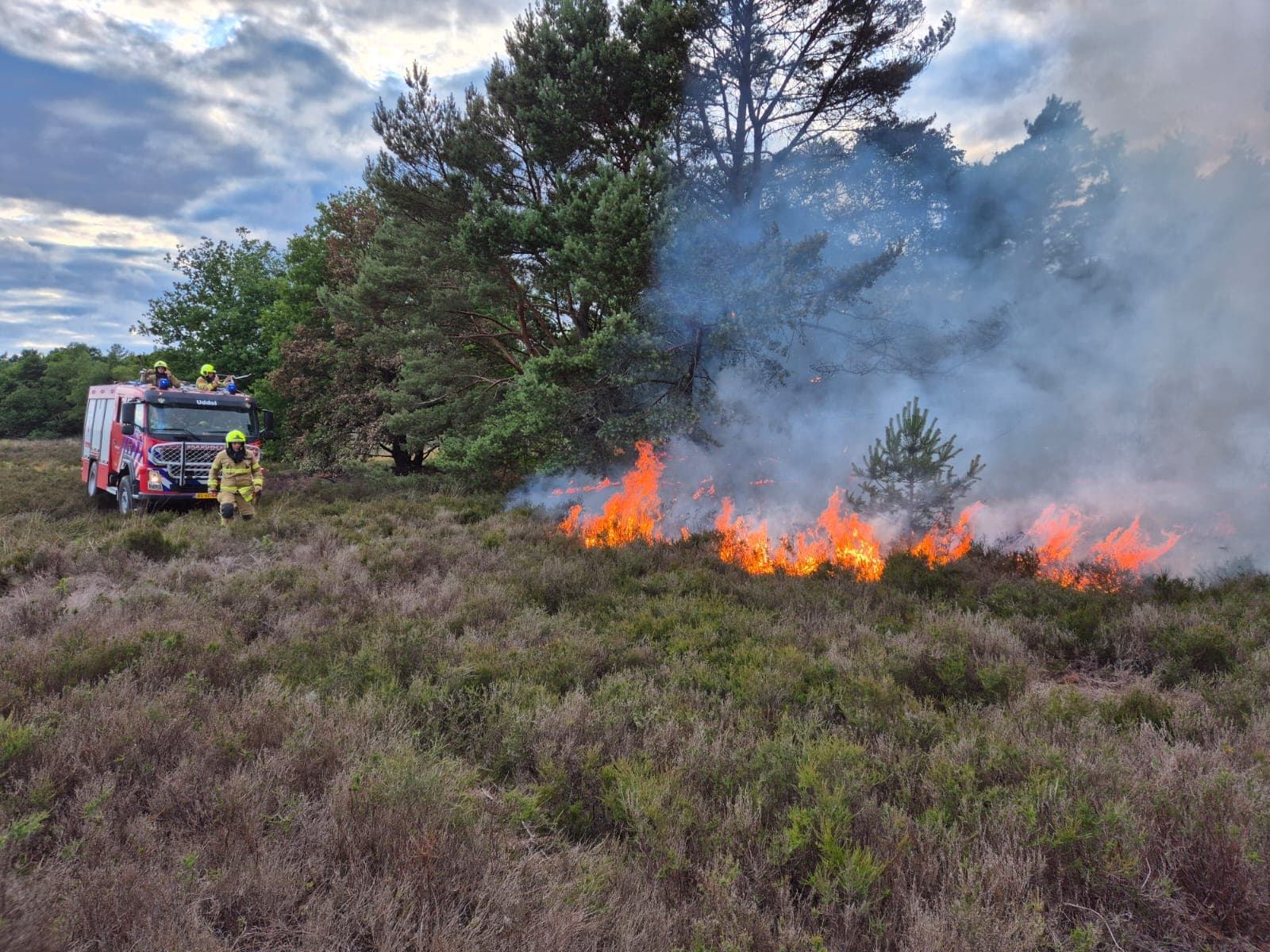 P1 Brand bos (uitbr.: hoog) Elspeterbosweg Vierhouten