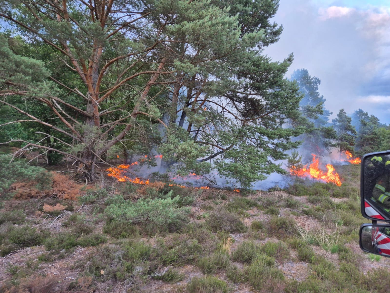 P1 Brand bos (uitbr.: hoog) Elspeterbosweg Vierhouten