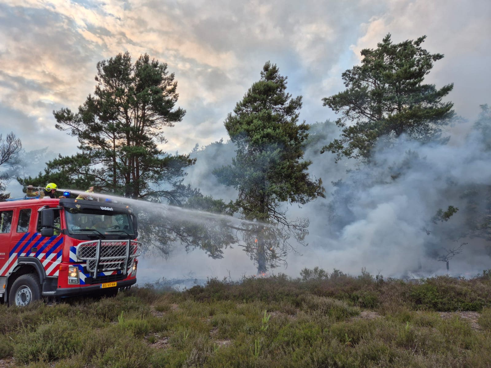 P1 Brand bos (uitbr.: hoog) Elspeterbosweg Vierhouten