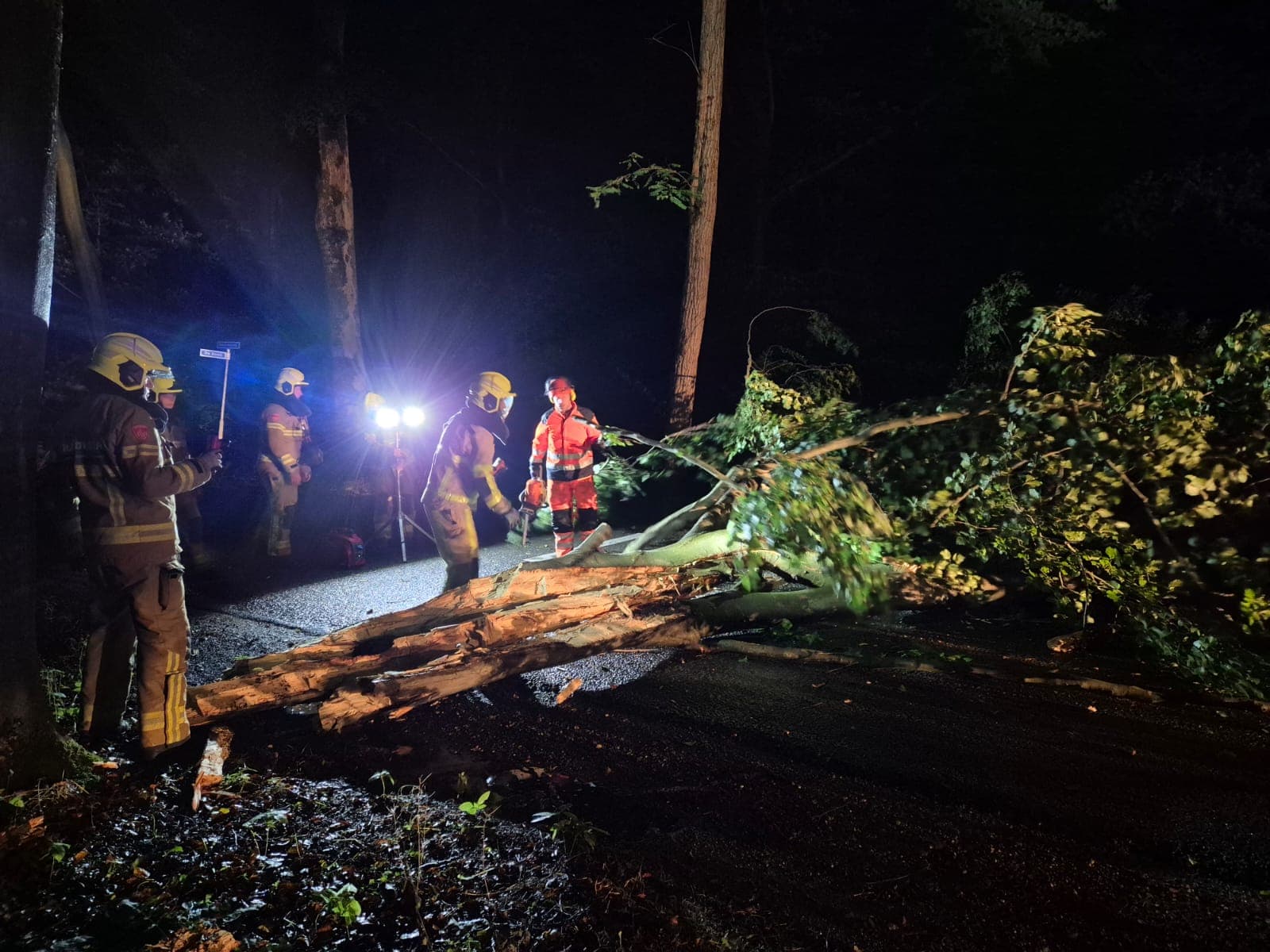 P2 Stormschade Uddelermeerweg Ermelo