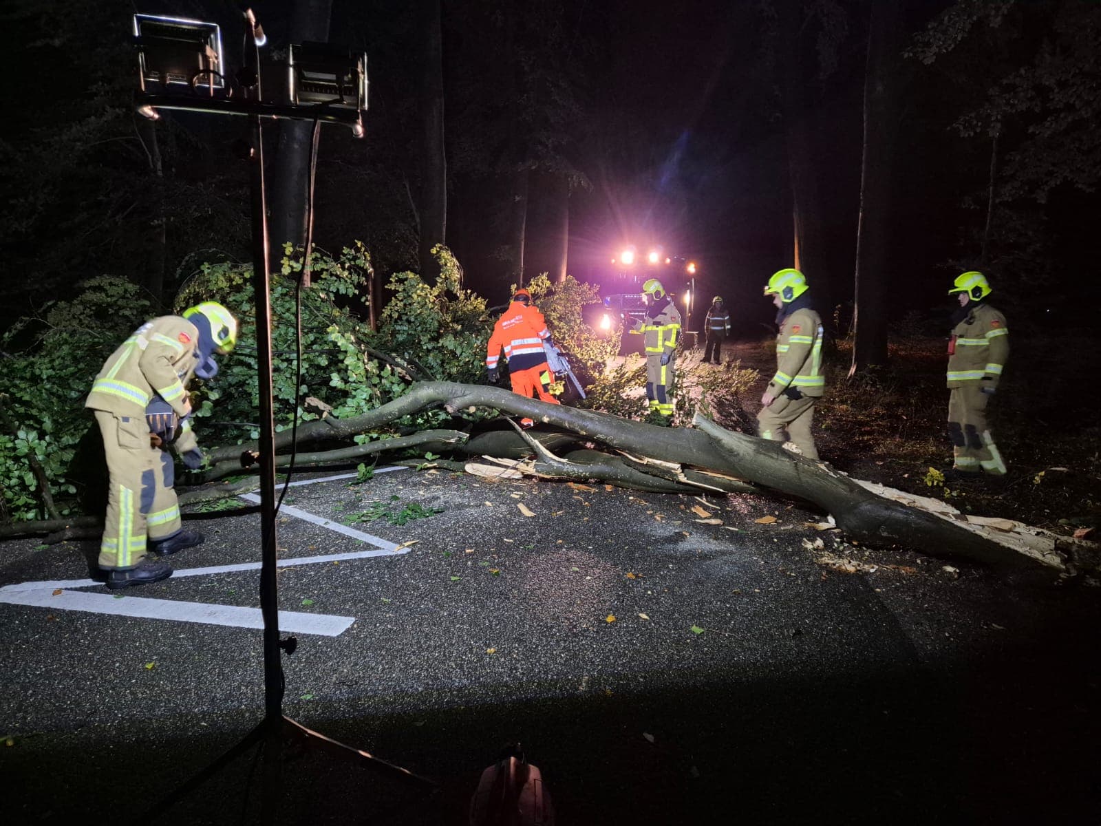 P2 Stormschade Uddelermeerweg Ermelo