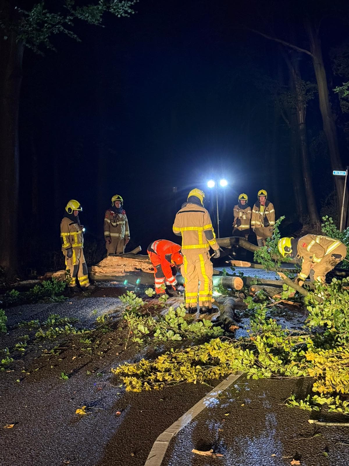 P2 Stormschade Uddelermeerweg Ermelo