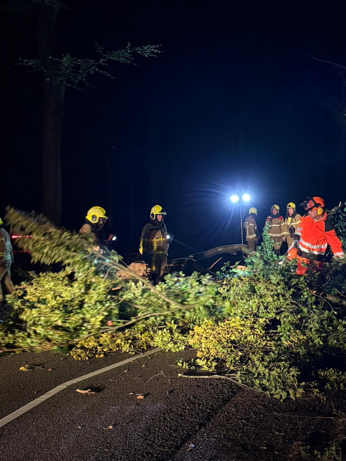 P2 Stormschade Uddelermeerweg Ermelo