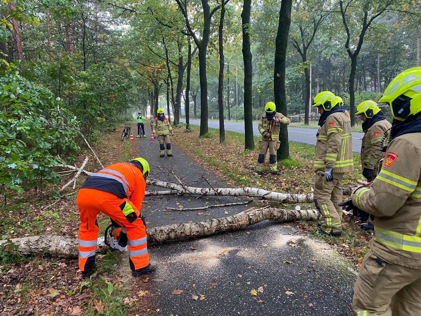 P2 Stormschade Elspeterweg Uddel