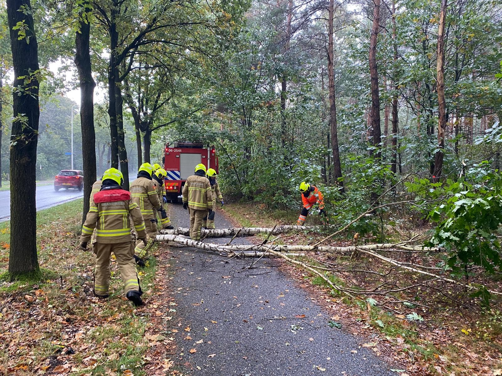 P2 Stormschade Elspeterweg Uddel