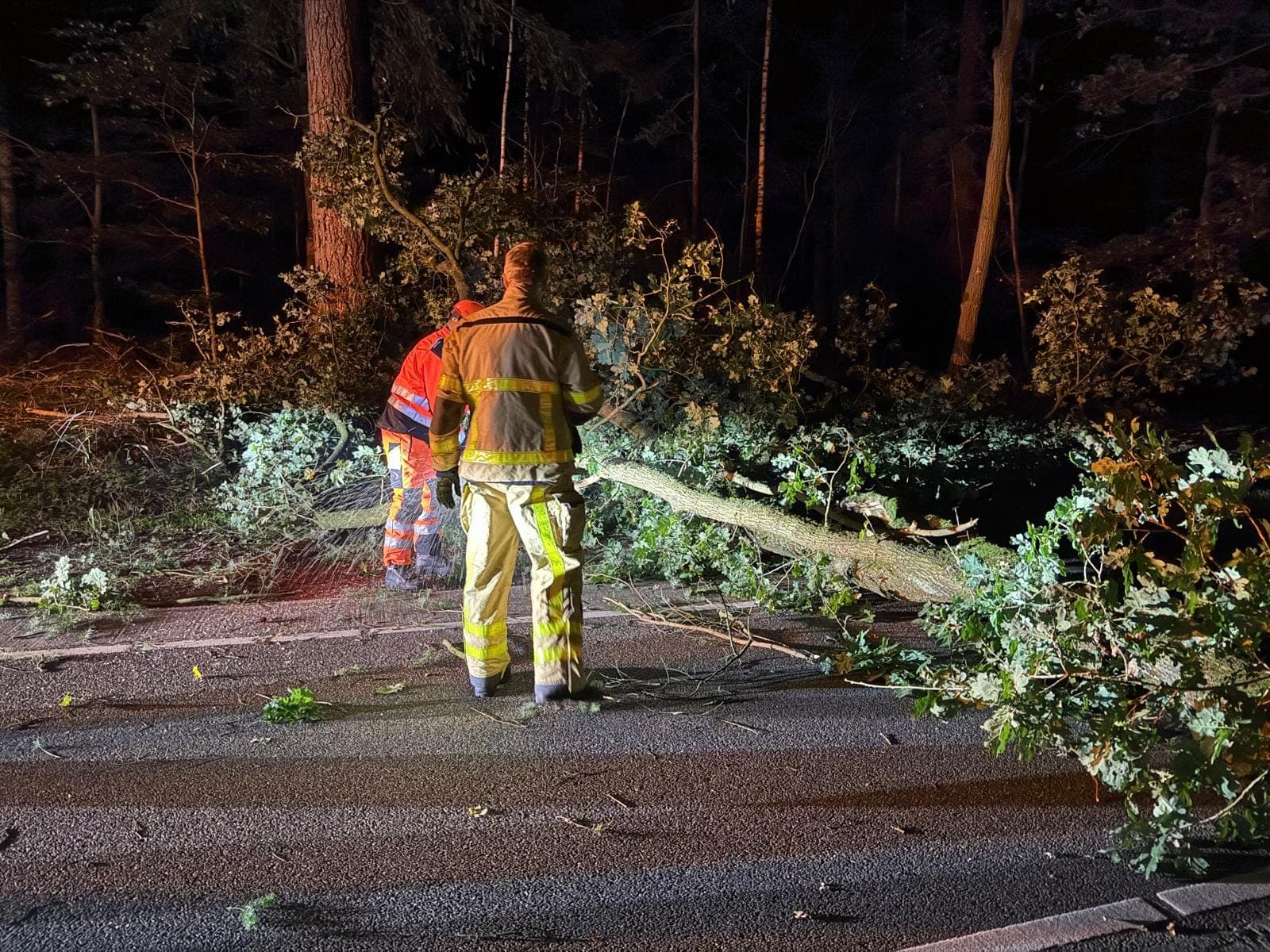 P2 Stormschade De Beek Ermelo