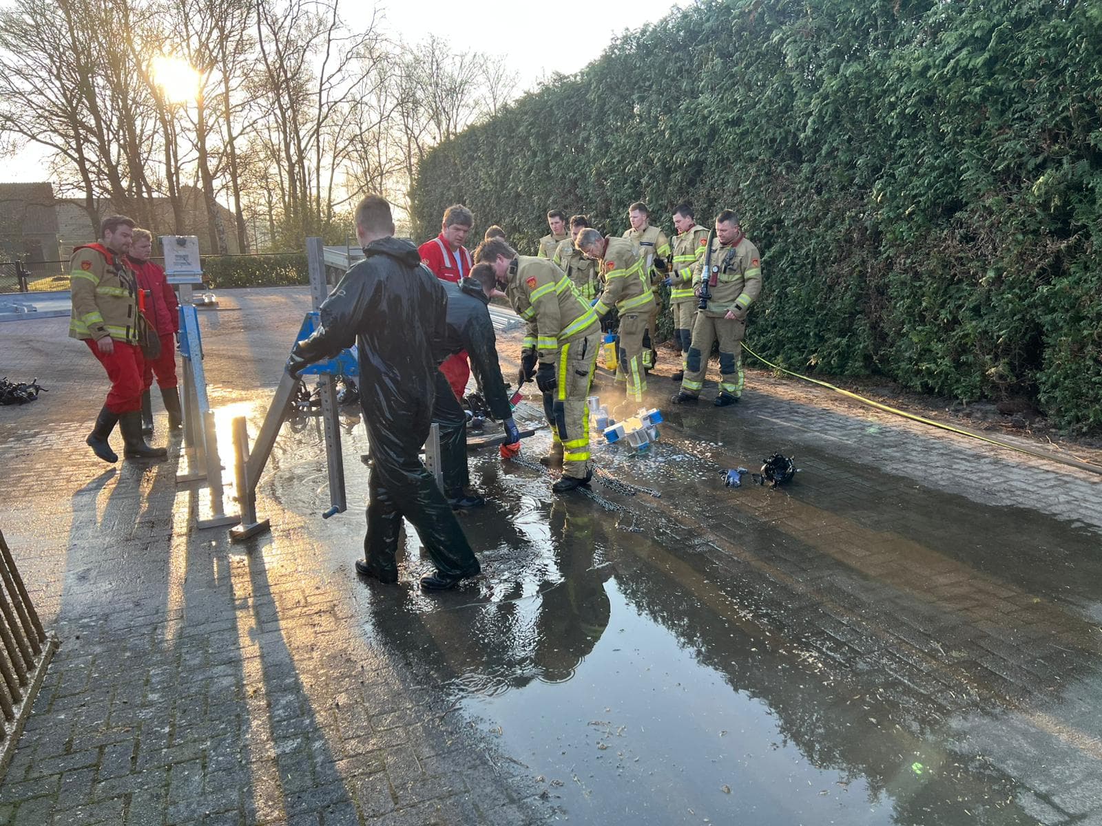 P2 Dier in put/kelder Harderwijkerweg Uddel