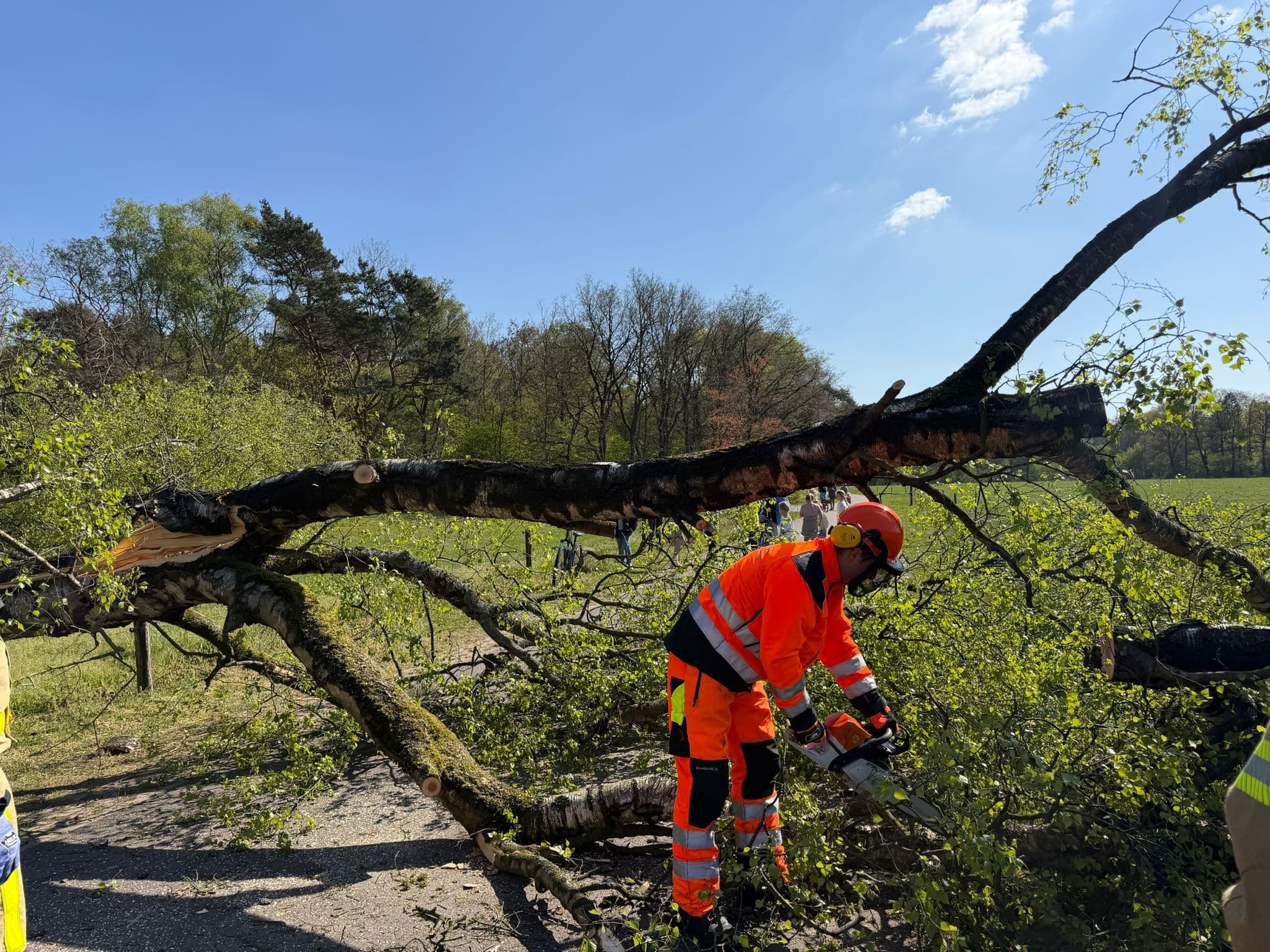 P2 Stormschade Buurtweg Uddel