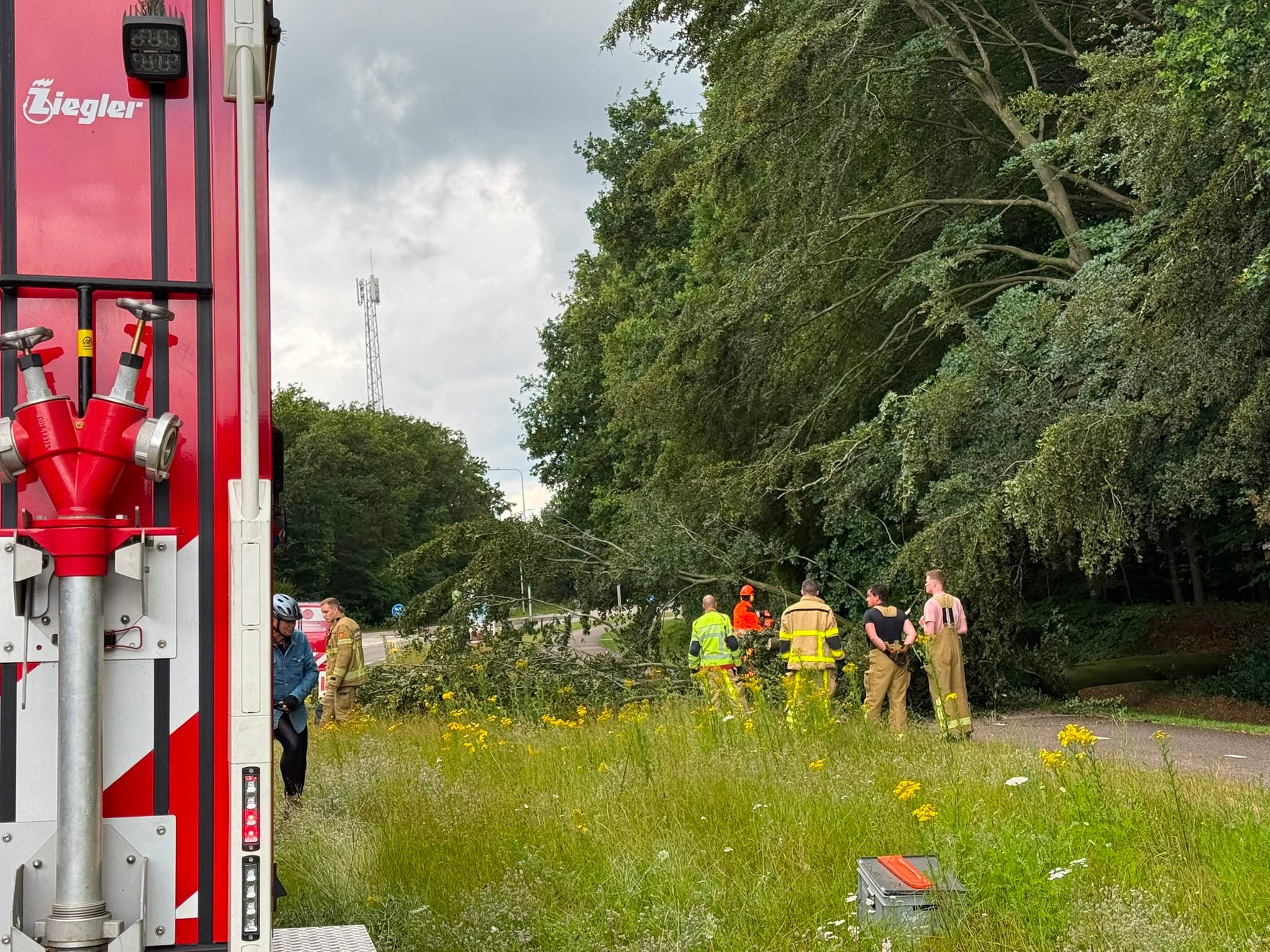 P2 Stormschade N310 Garderenseweg Ermelo