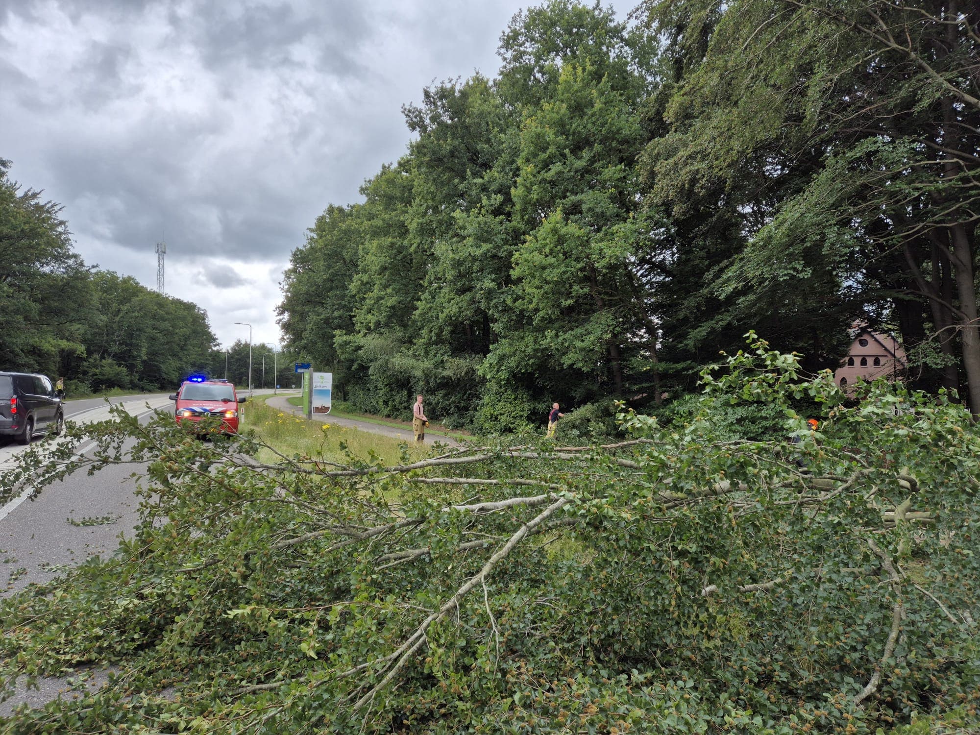 P2 Stormschade N310 Garderenseweg Ermelo