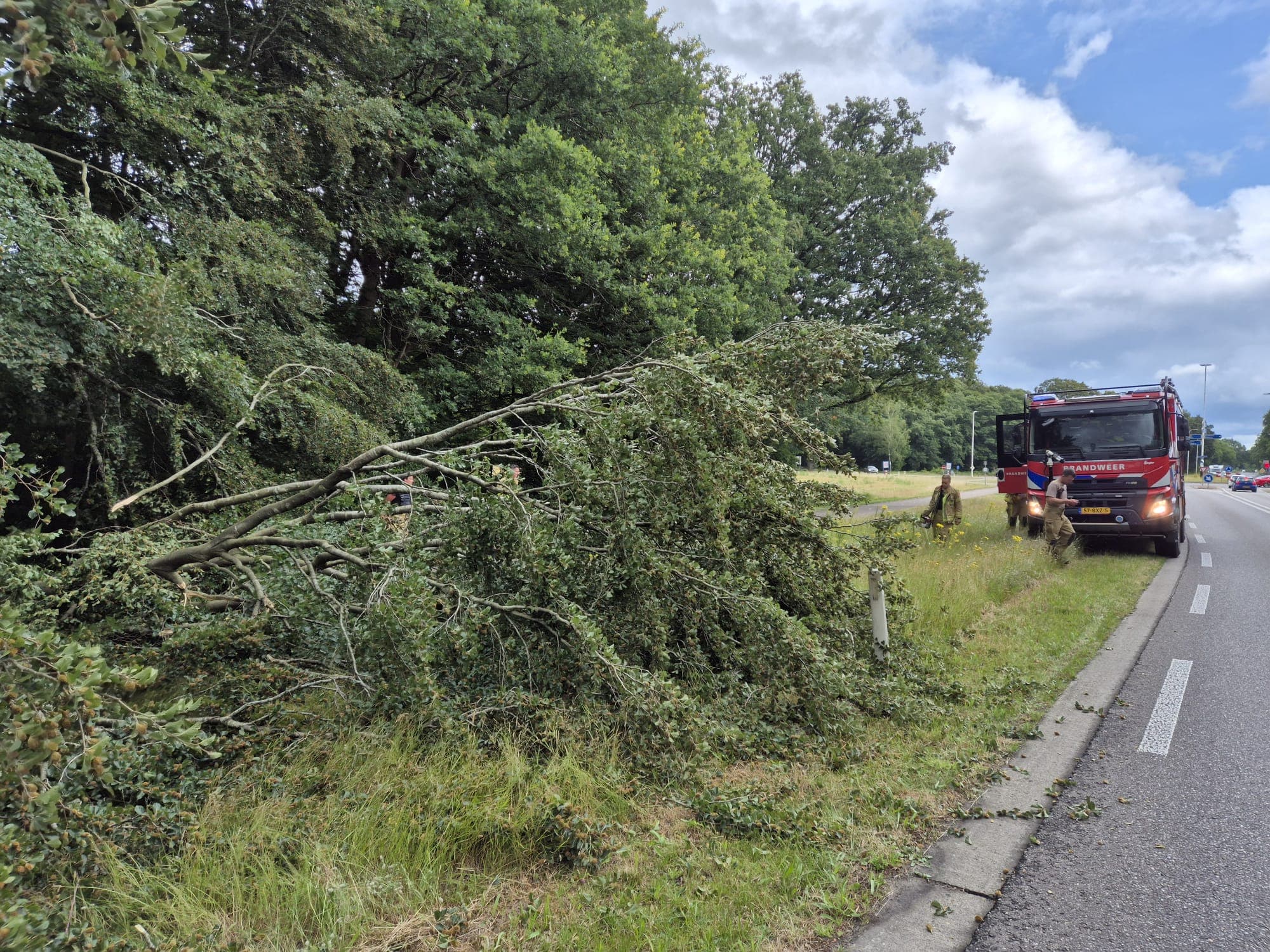 P2 Stormschade N310 Garderenseweg Ermelo
