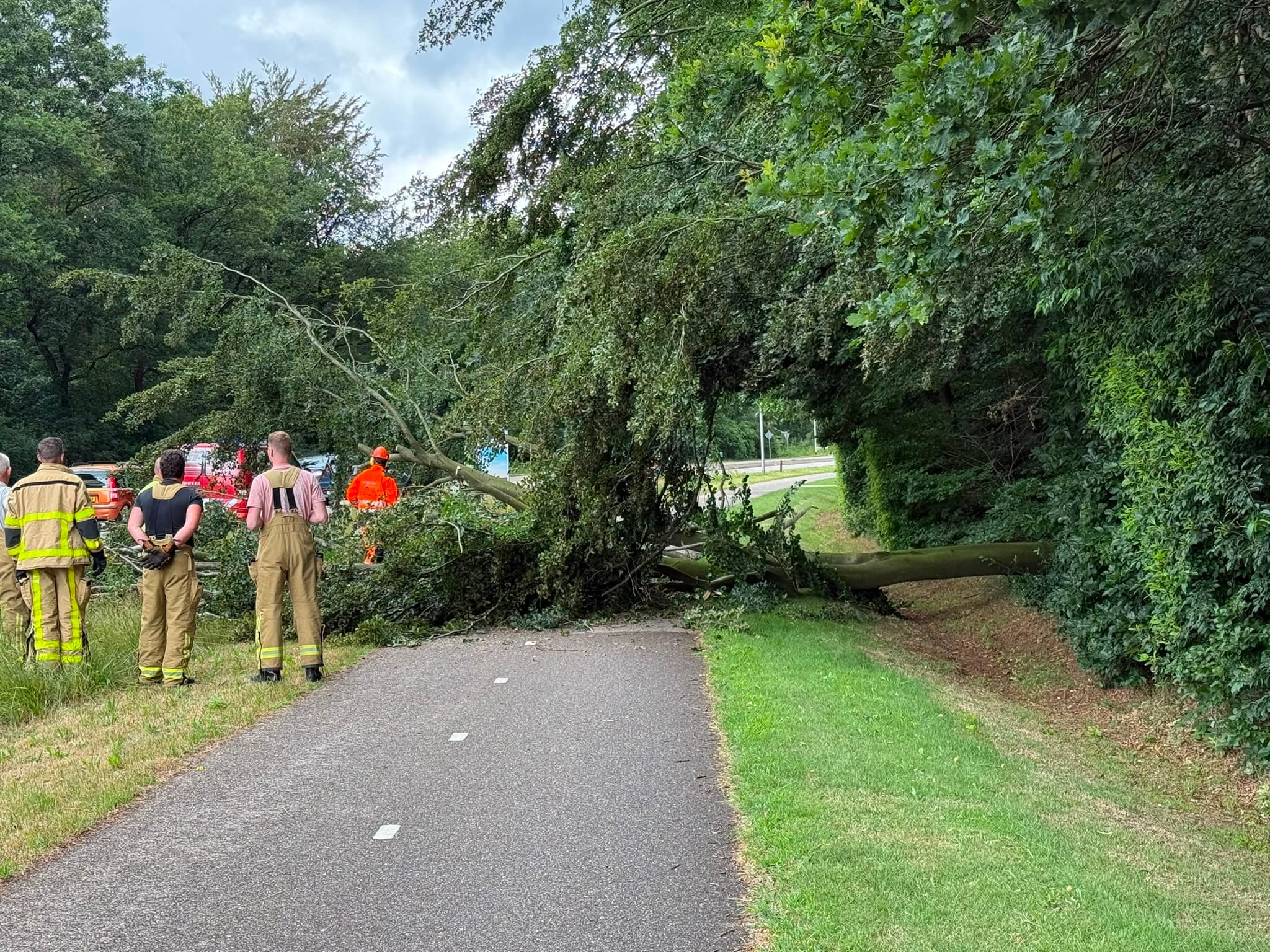 P2 Stormschade N310 Garderenseweg Ermelo