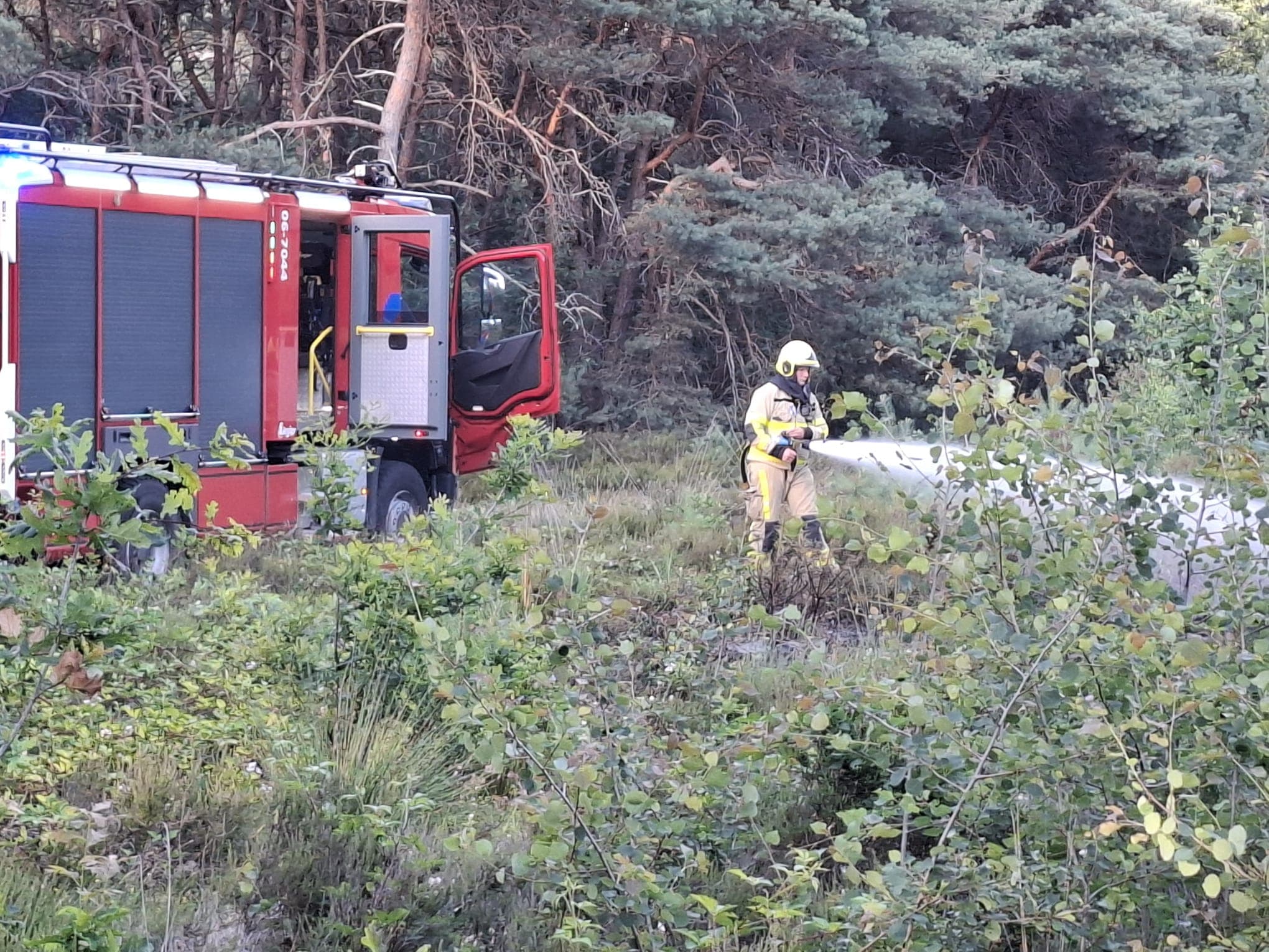 P1 Brand heide (uitbr. : normaal) N310 Uddelerweg Elspeet