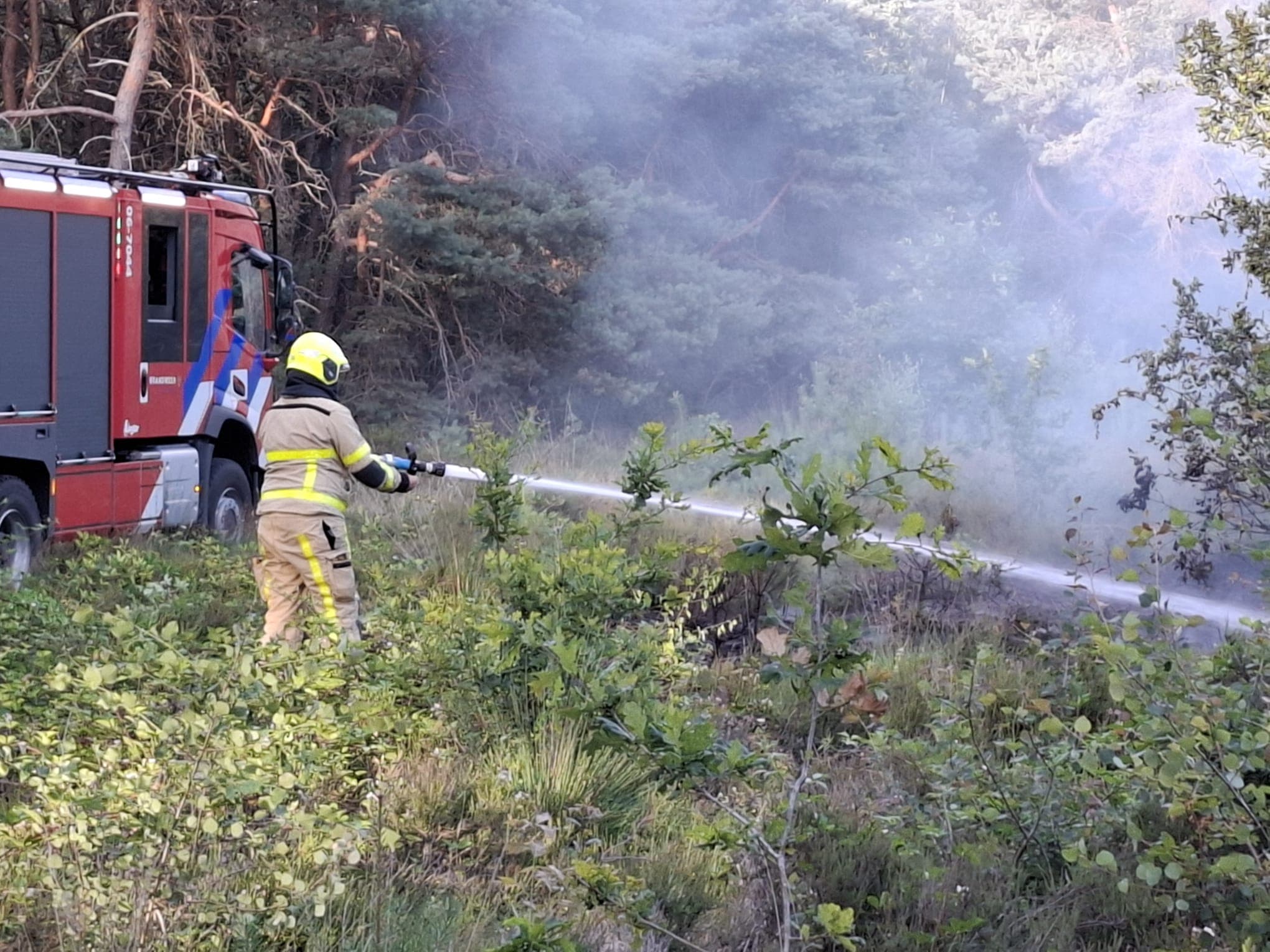 P1 Brand heide (uitbr. : normaal) N310 Uddelerweg Elspeet