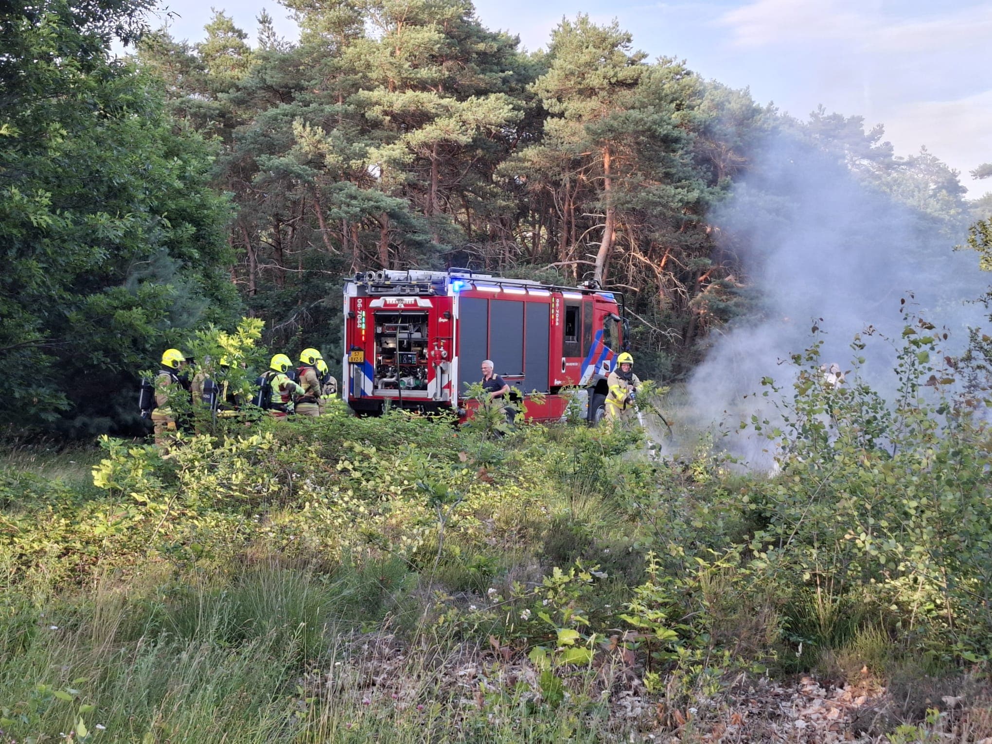 P1 Brand heide (uitbr. : normaal) N310 Uddelerweg Elspeet