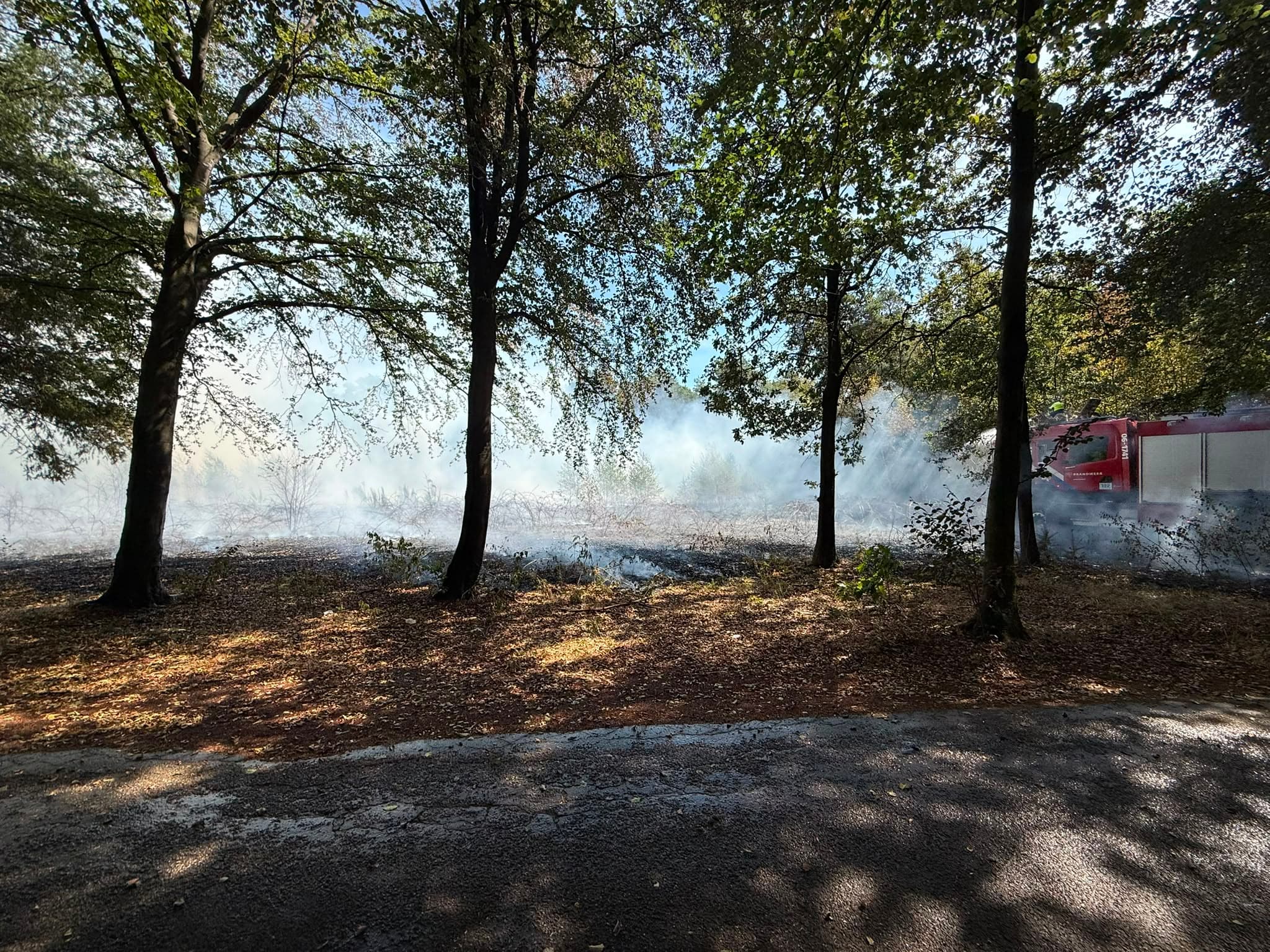 P1 Brand Bos Staverhul Uddel