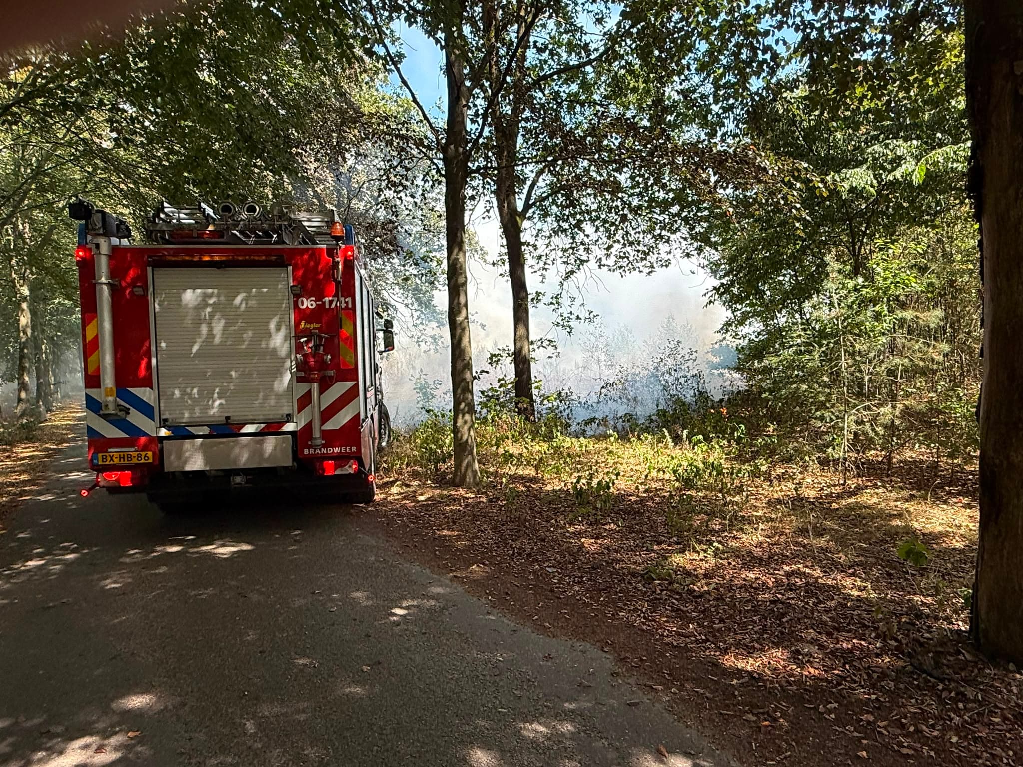 P1 Brand Bos Staverhul Uddel