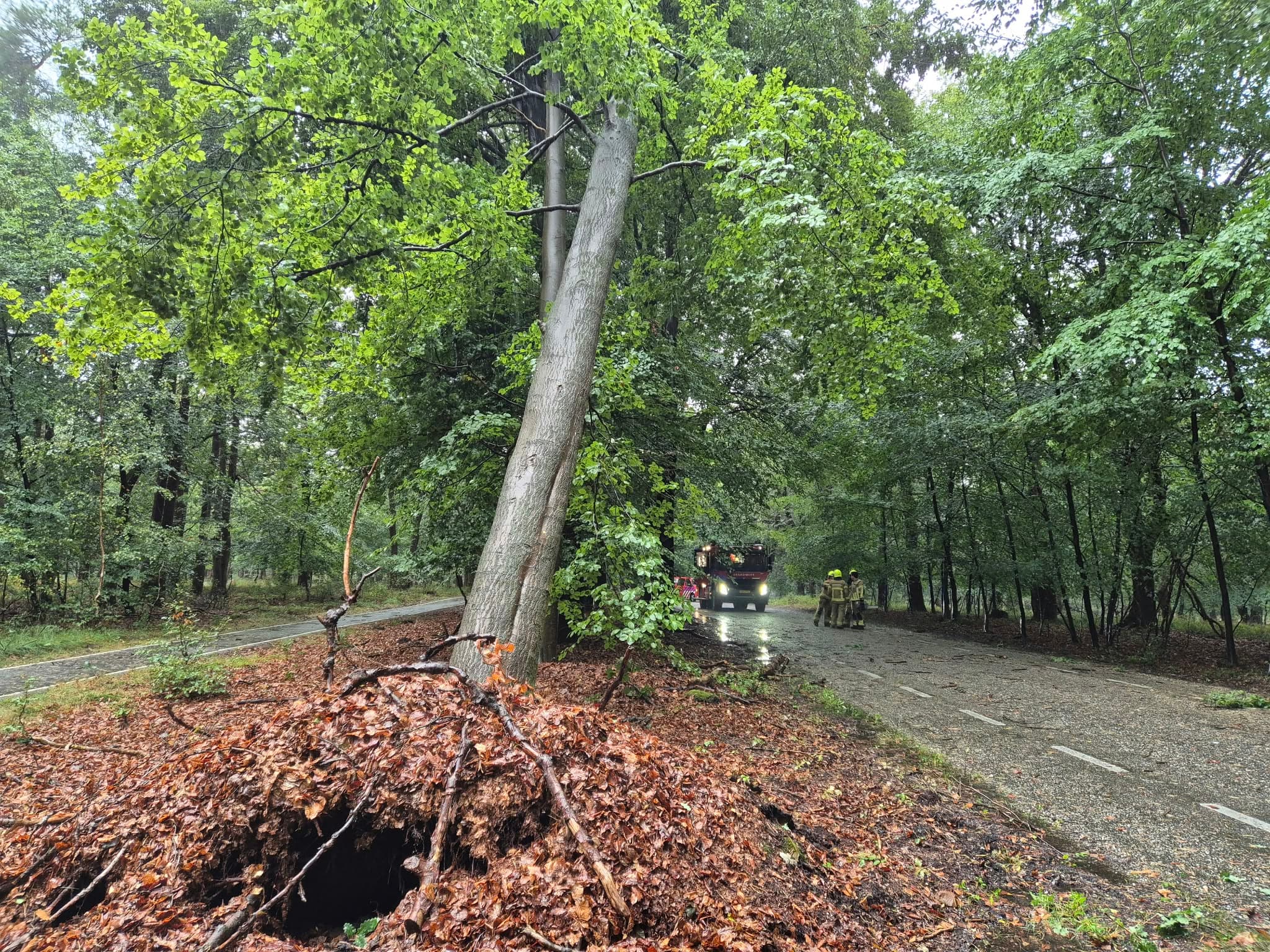 P2 Stormschade Aardhuisweg Uddel, foto 2