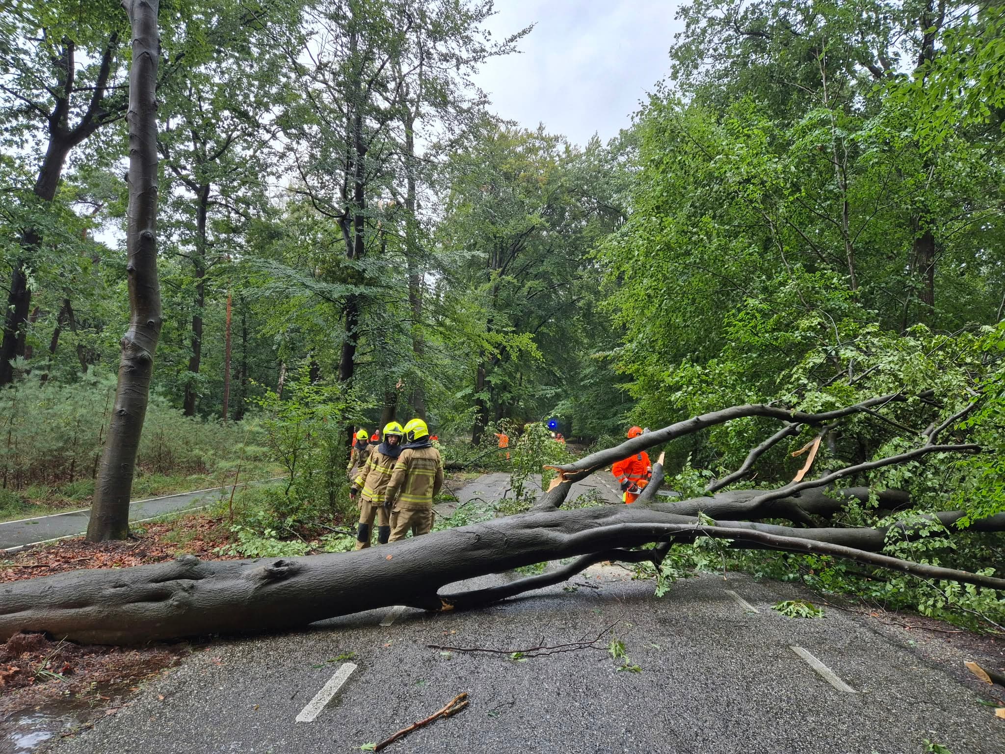 P2 Stormschade Aardhuisweg Uddel, foto 3