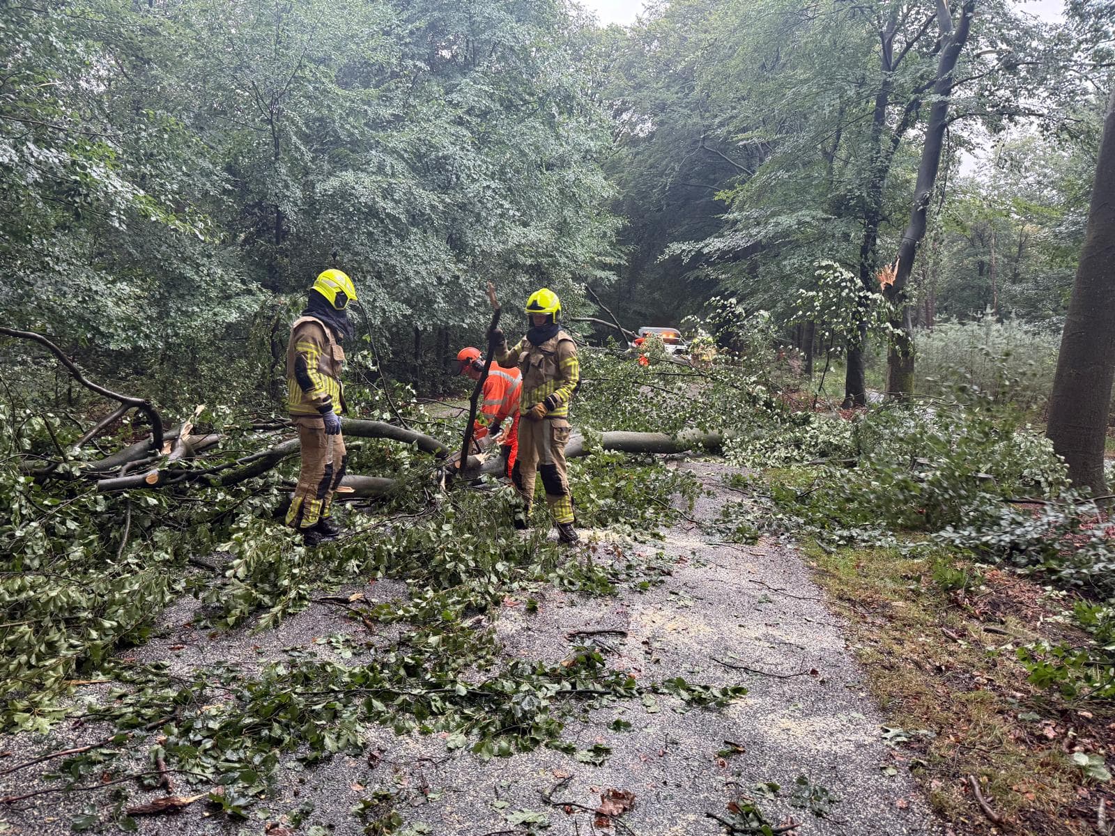 P2 Stormschade Aardhuisweg Uddel, foto 5
