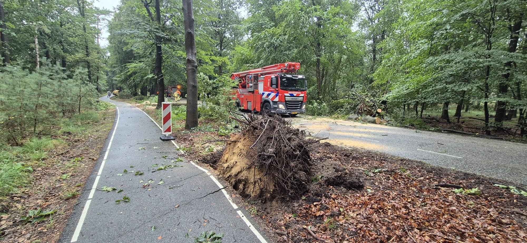 P2 Stormschade Aardhuisweg Uddel, foto 7