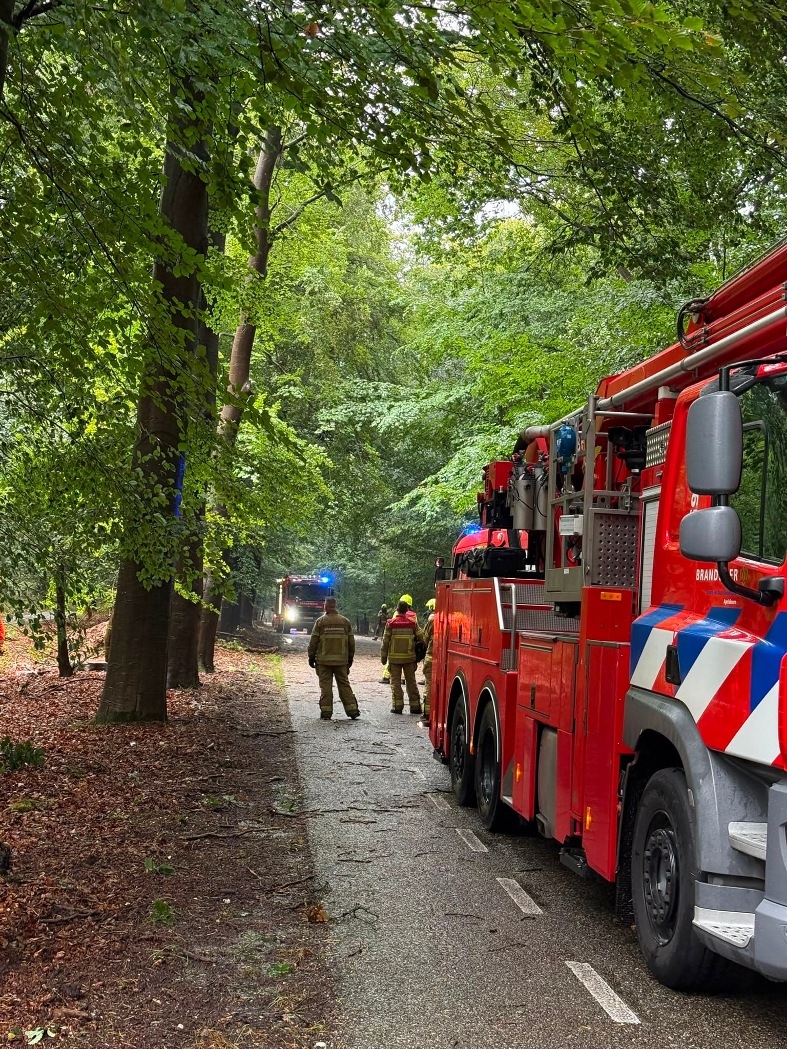 P2 Stormschade Aardhuisweg Uddel, foto 9