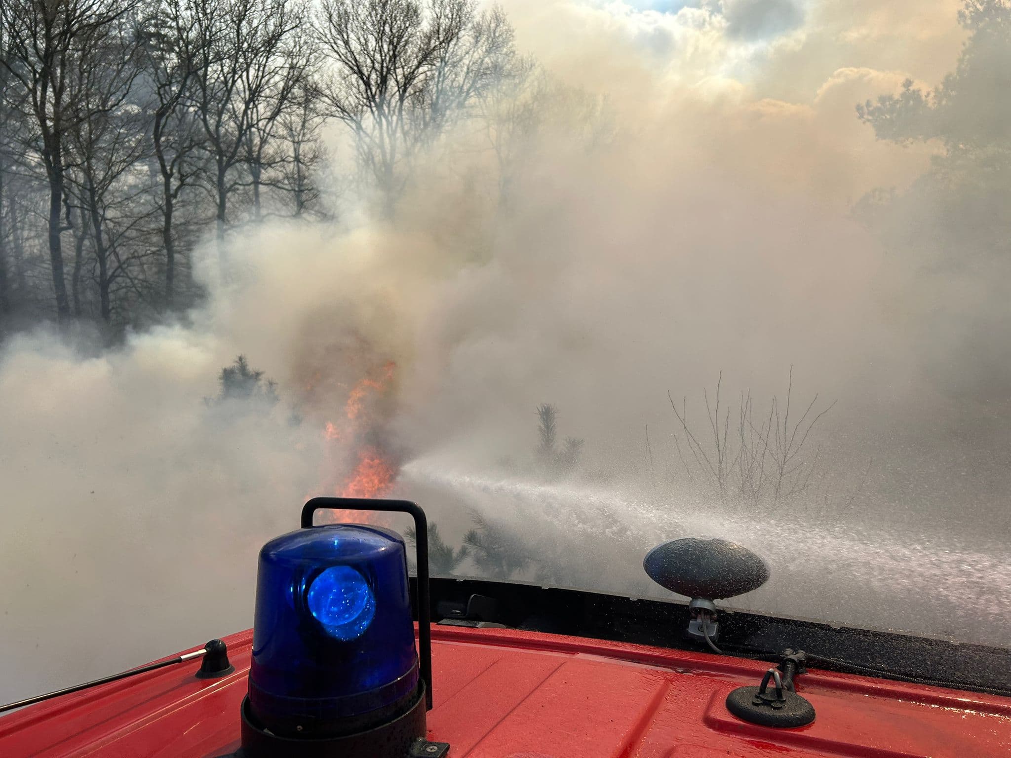 P1 brand heide (uitbr.:normaal) Bosrand Elspeet