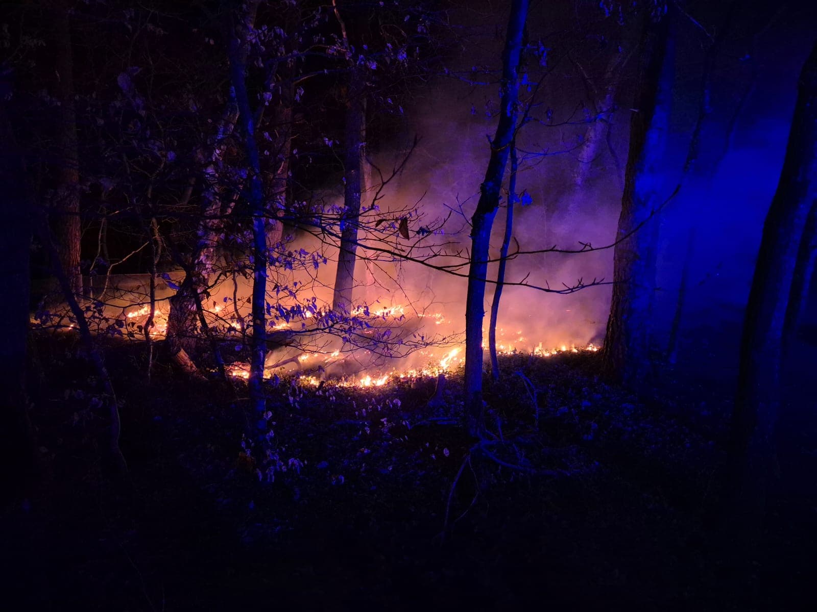 P1 Brand berm/bosschage Tonnenberg Ermelo
