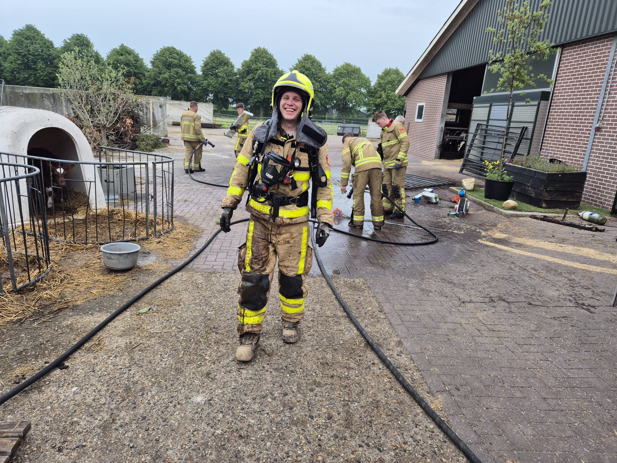 P2 Dier in put/kelder Veenkamp Uddel
