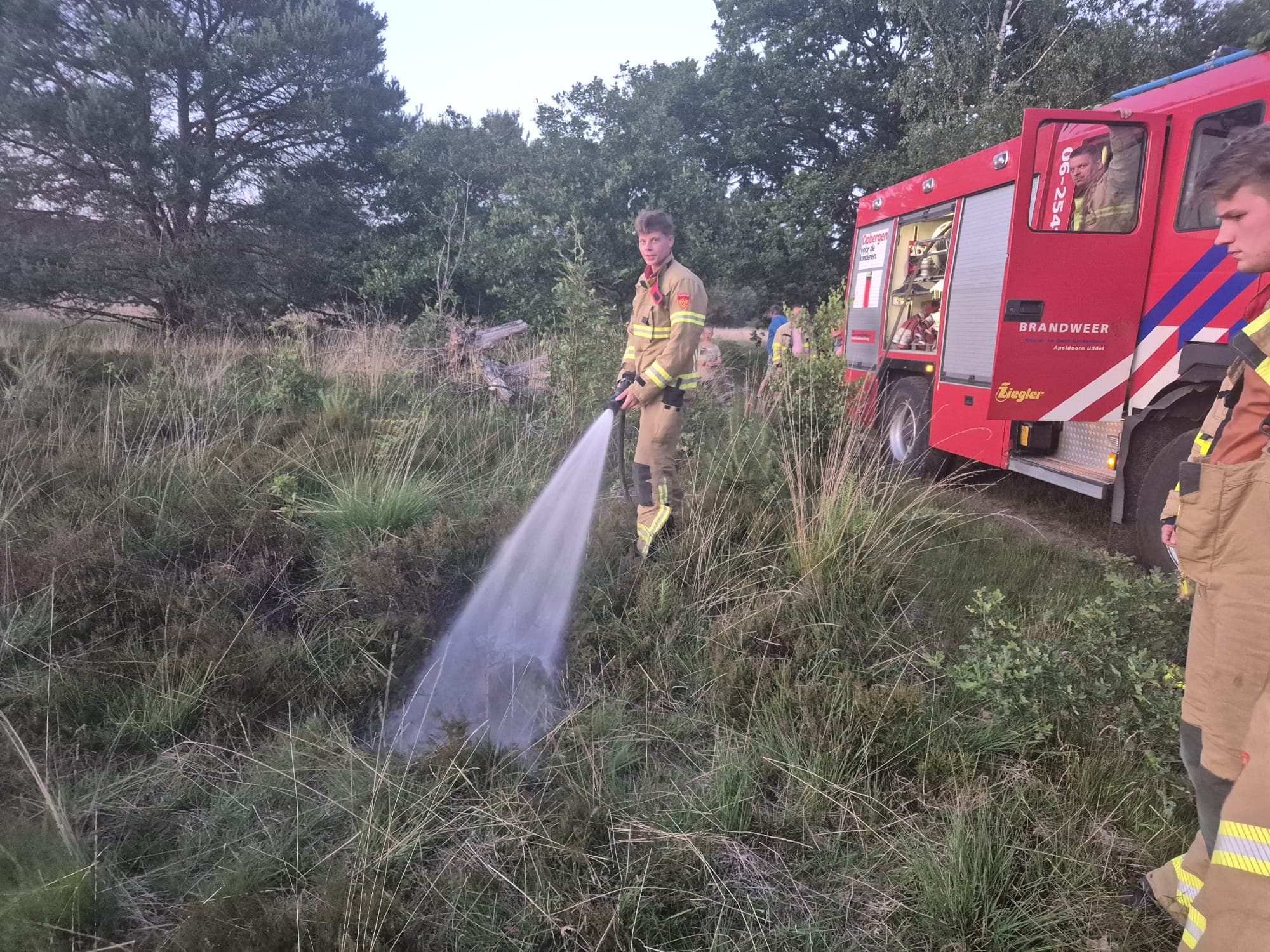P2 Brand heide (Uitbr.: laag) N310 Uddelerweg Elspeet