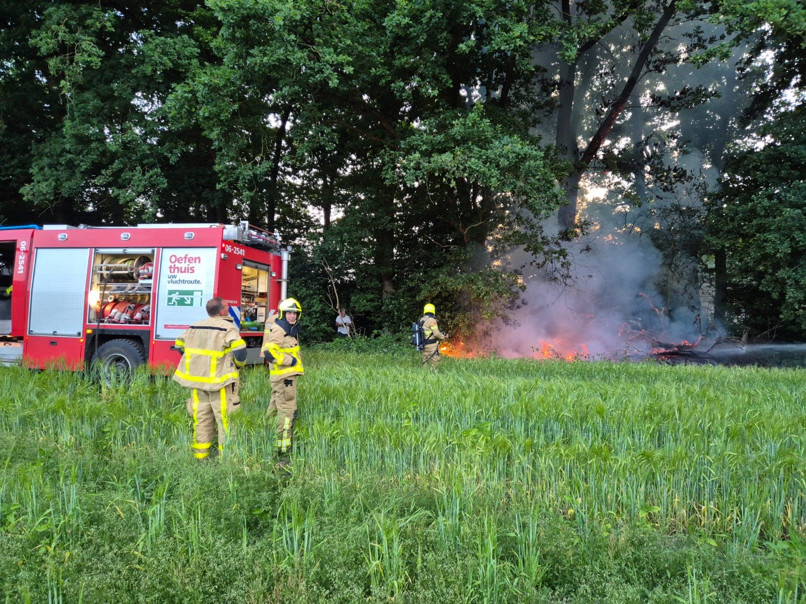 P1 Brand bos (uitbr.: hoog) ’t Hof Uddel