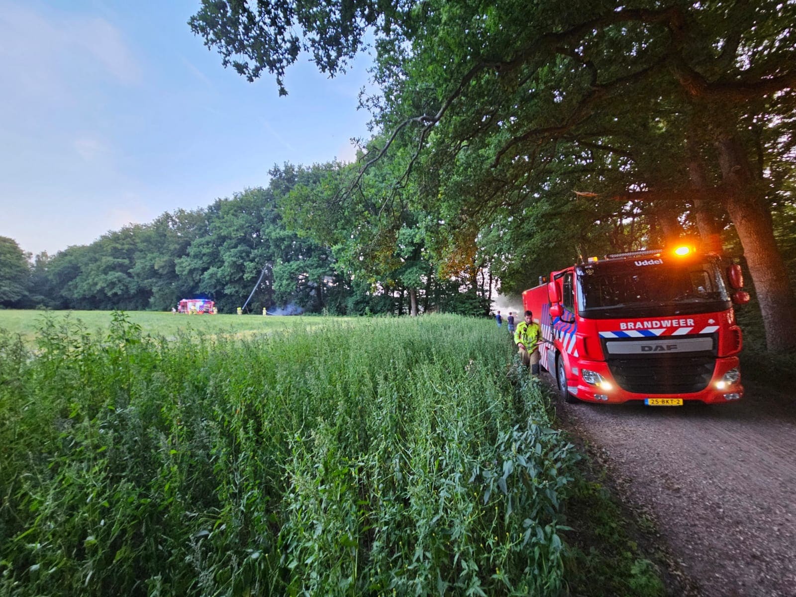 P1 Brand bos (uitbr.: hoog) ’t Hof Uddel